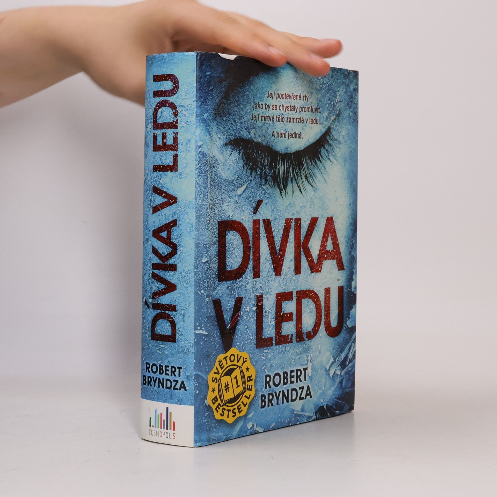 Robert Bryndza Dívka v ledu