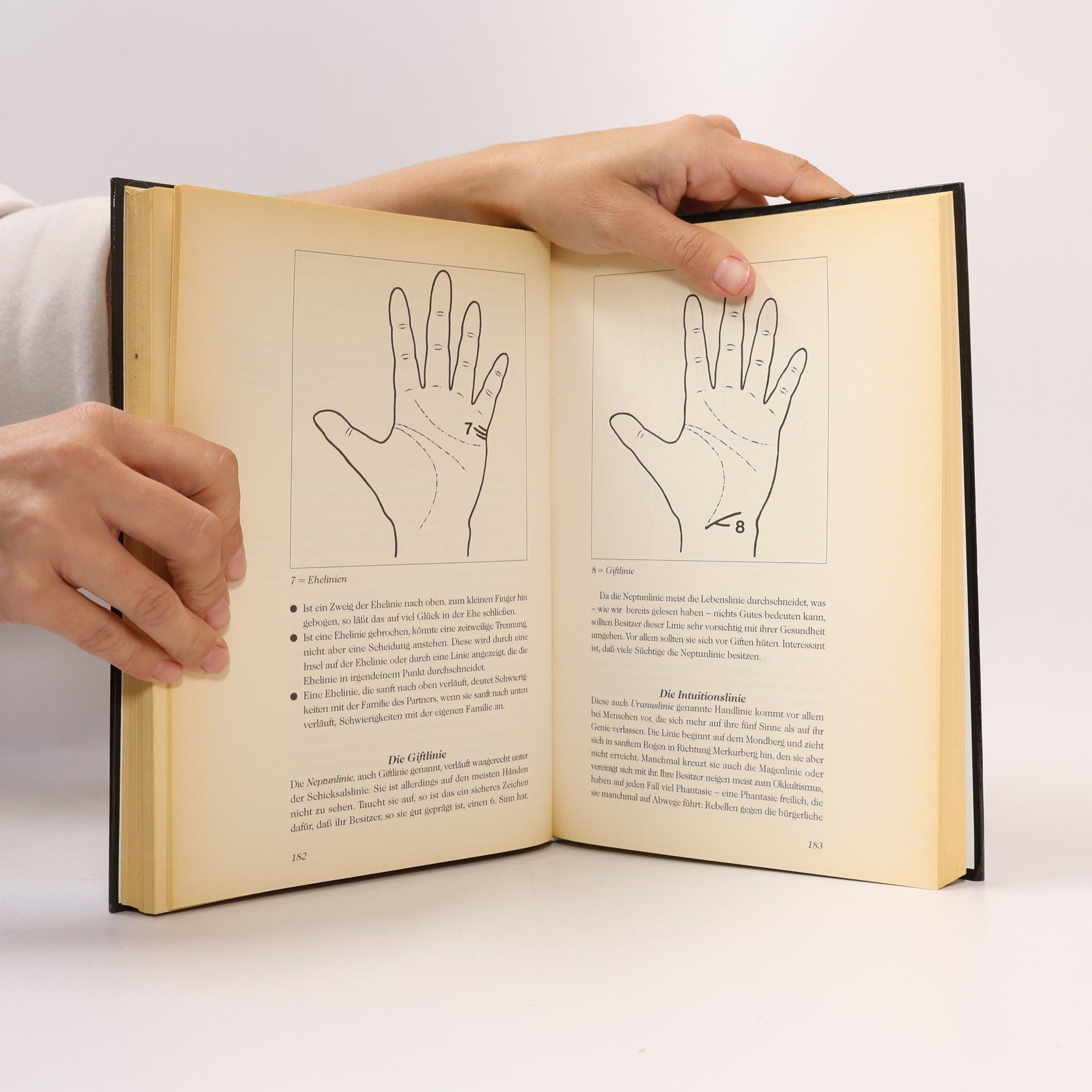 Erika Sauer Das grosse Buch der magische Kräfte
