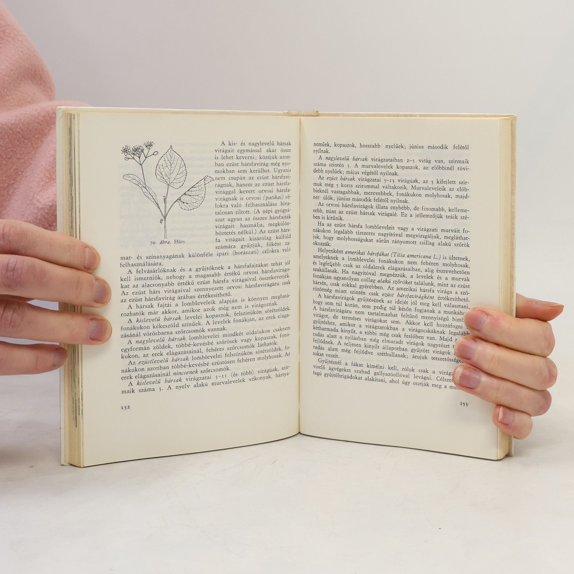 Various authors Gyógyító Növények