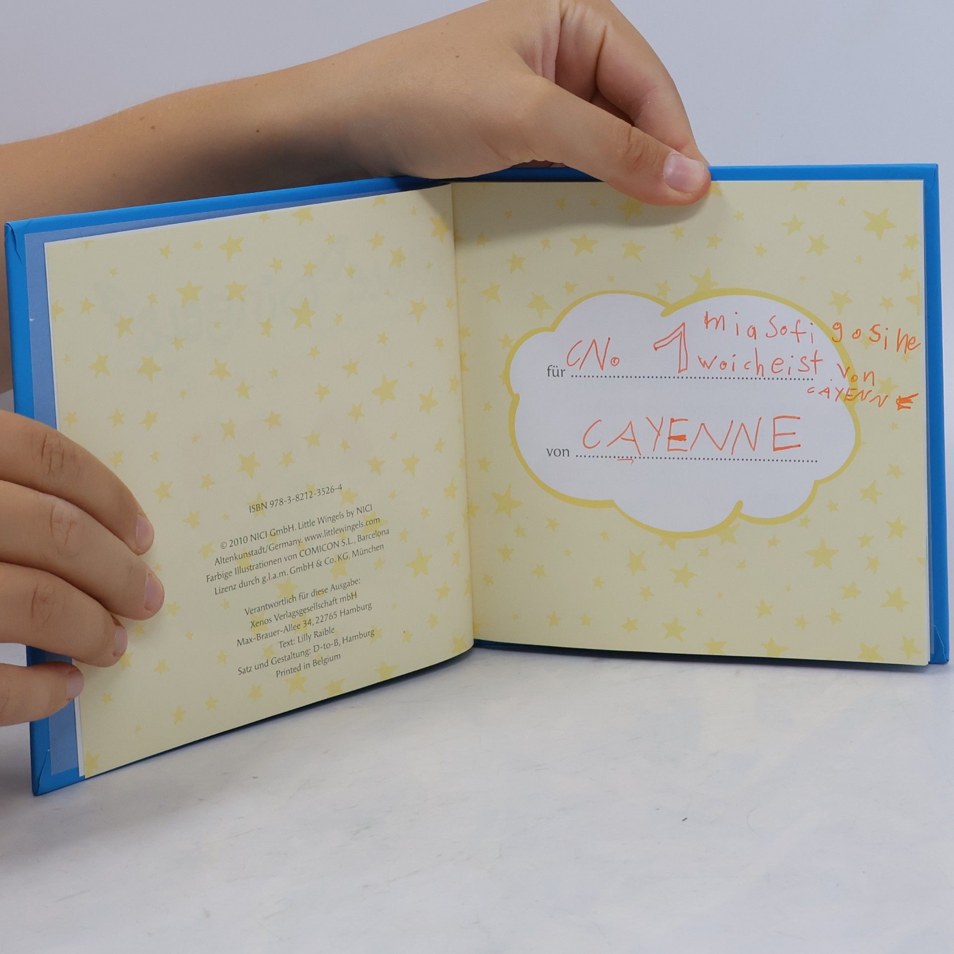 Lilly Raible Little Wingels: Ein Schutzengel für dich