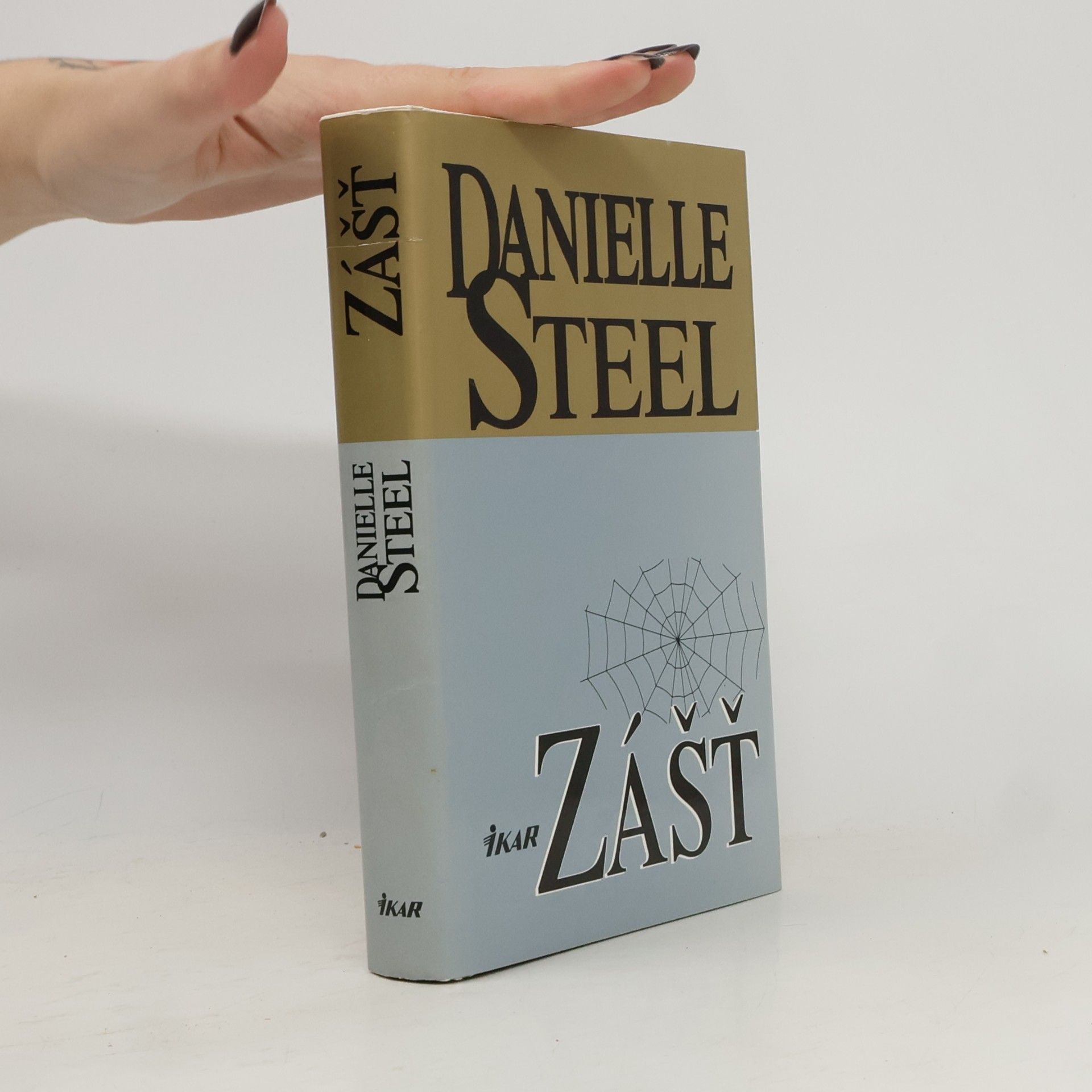 Danielle Steel Zášť