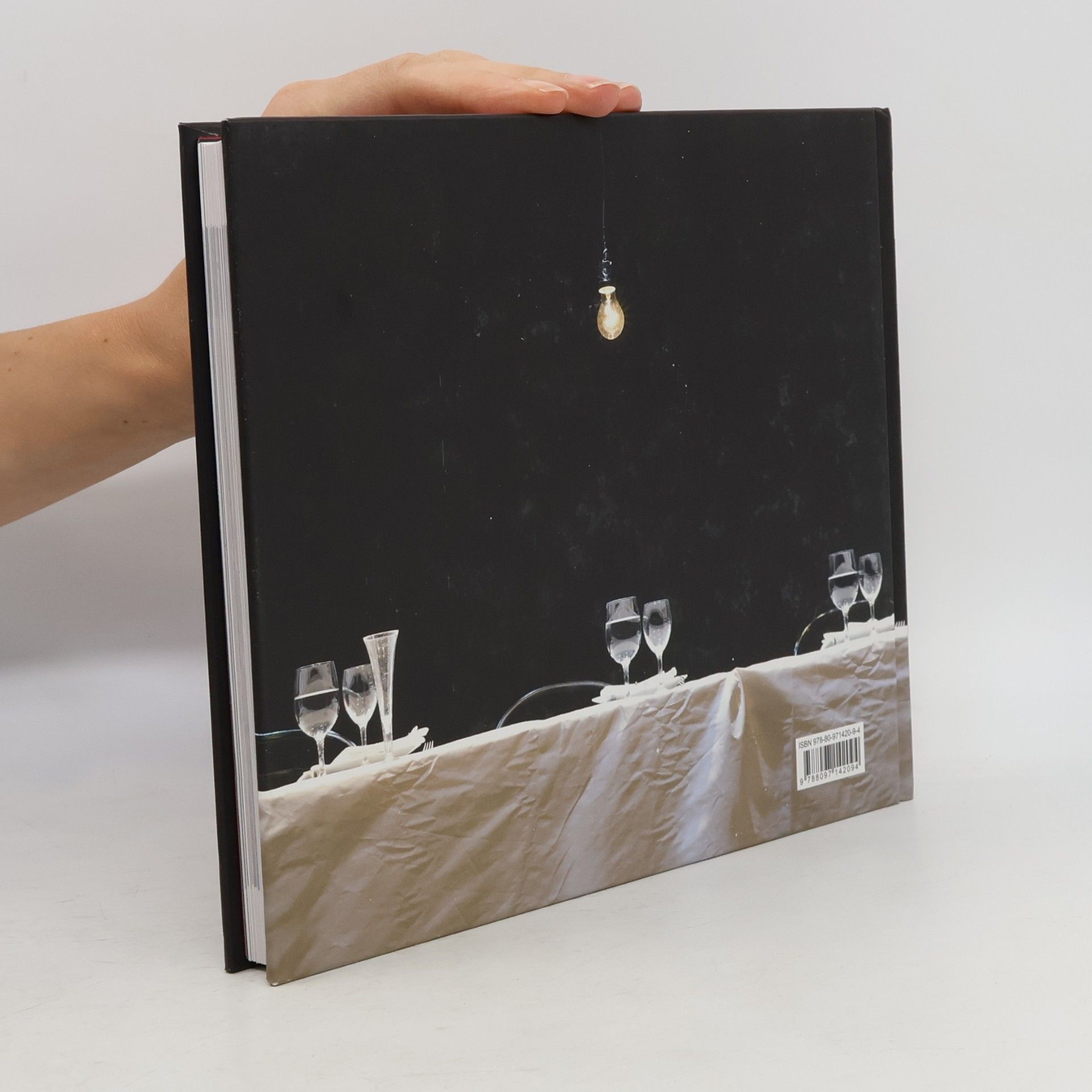 kolektiv Slovenské Národné divadlo vo fotografiách 2012/2013