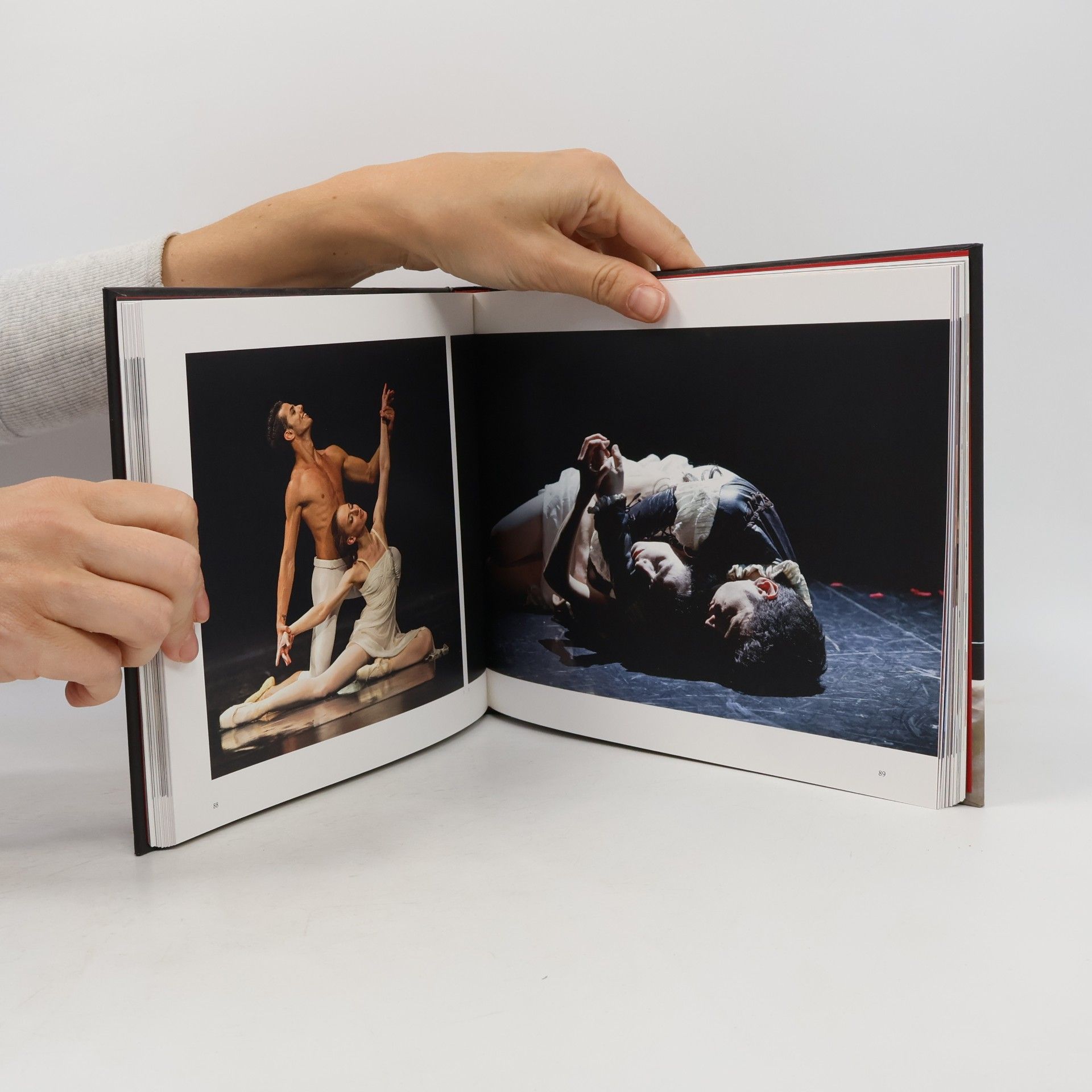 kolektiv Slovenské Národné divadlo vo fotografiách 2012/2013