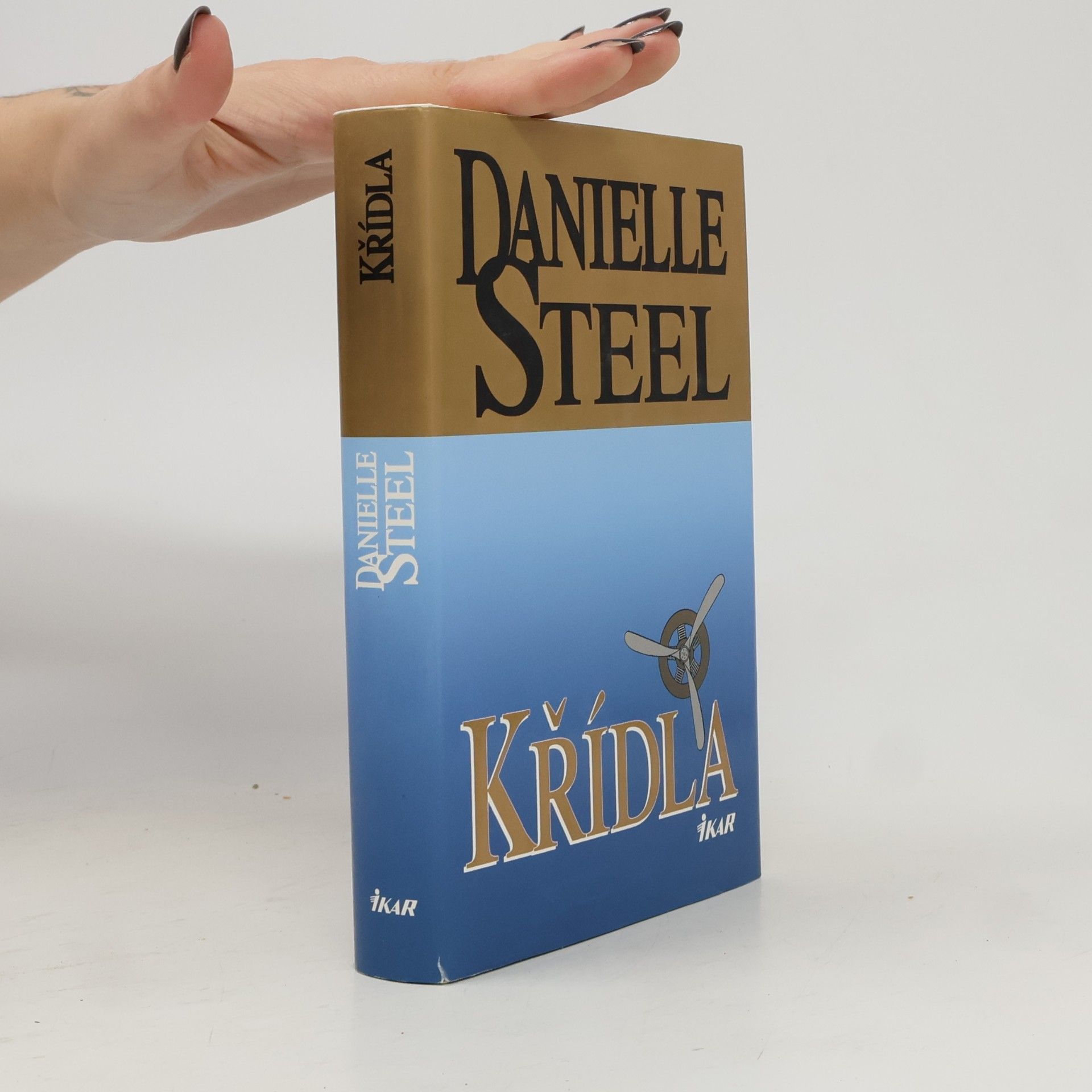Danielle Steel Křídla