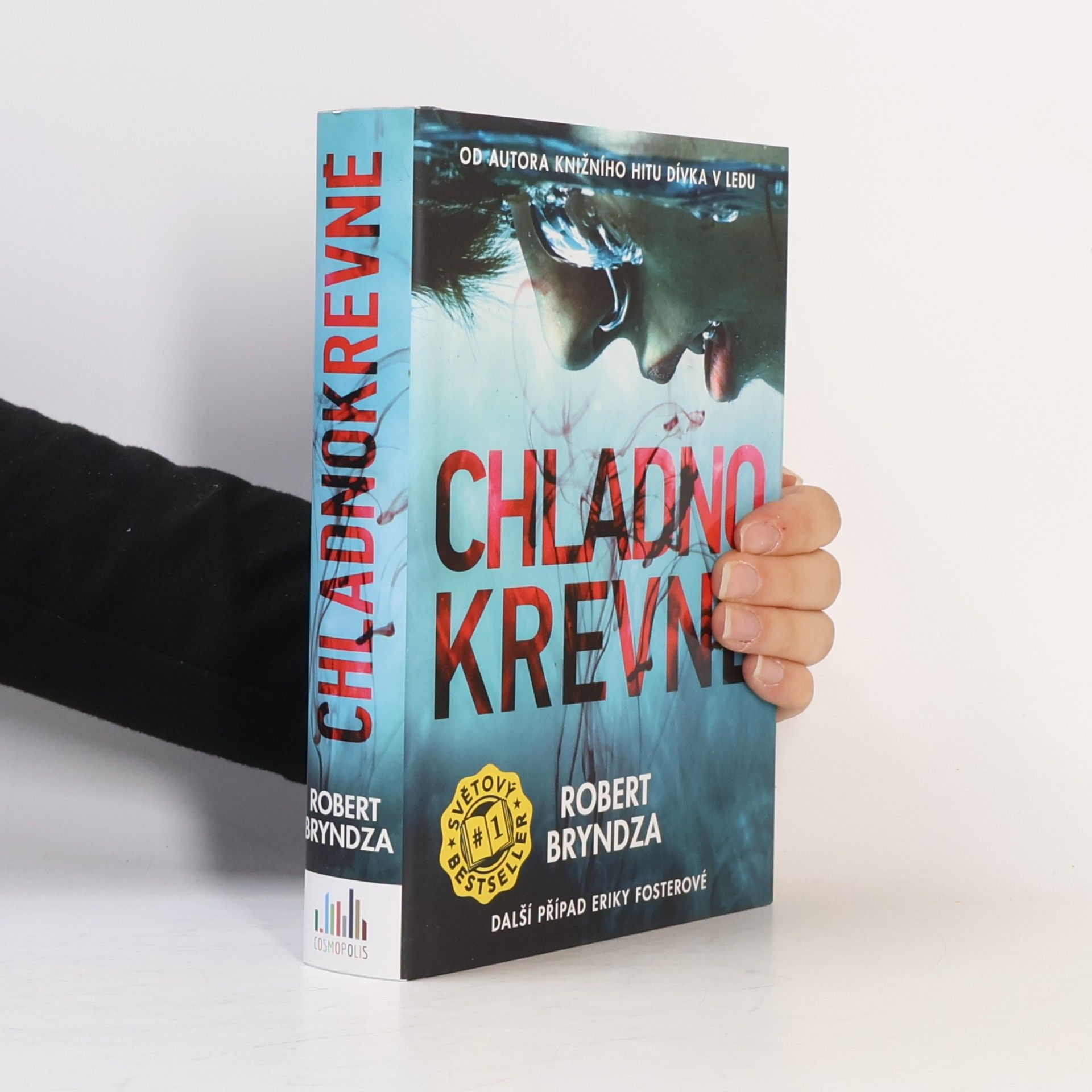 Robert Bryndza Chladnokrevně