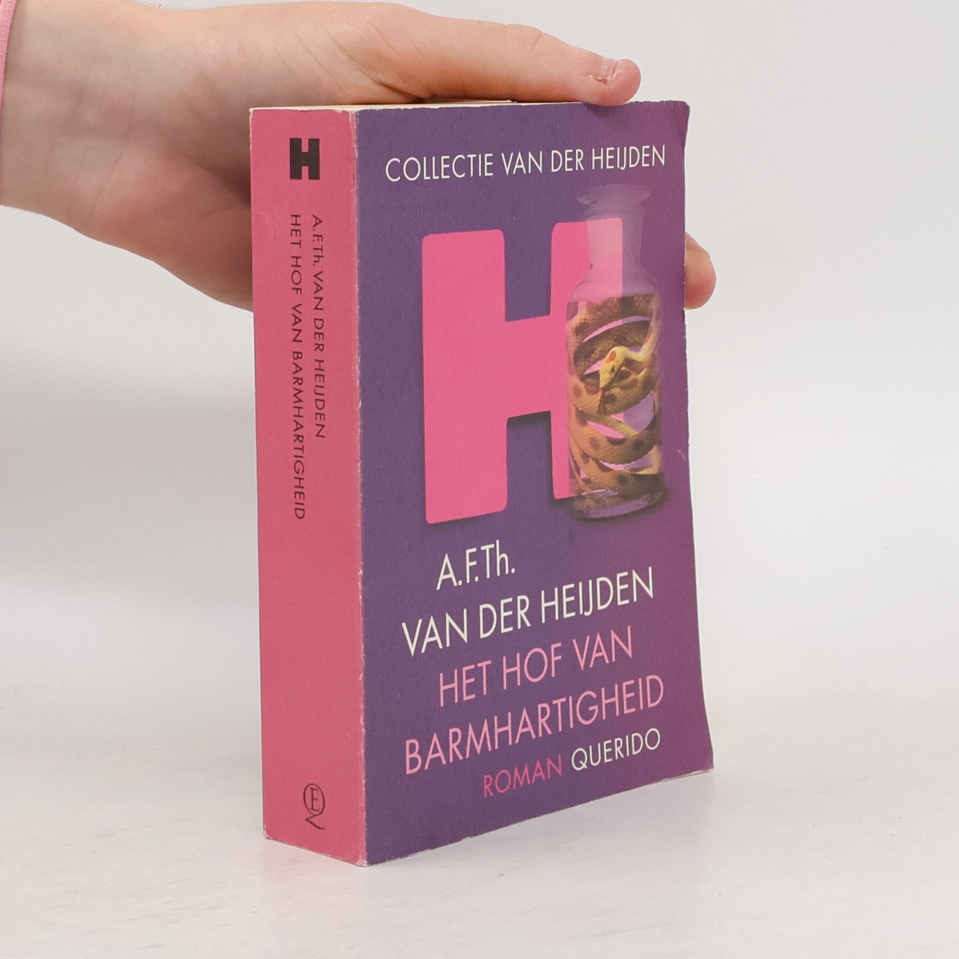 Afth van der heijden Het hof van barmhartigheid