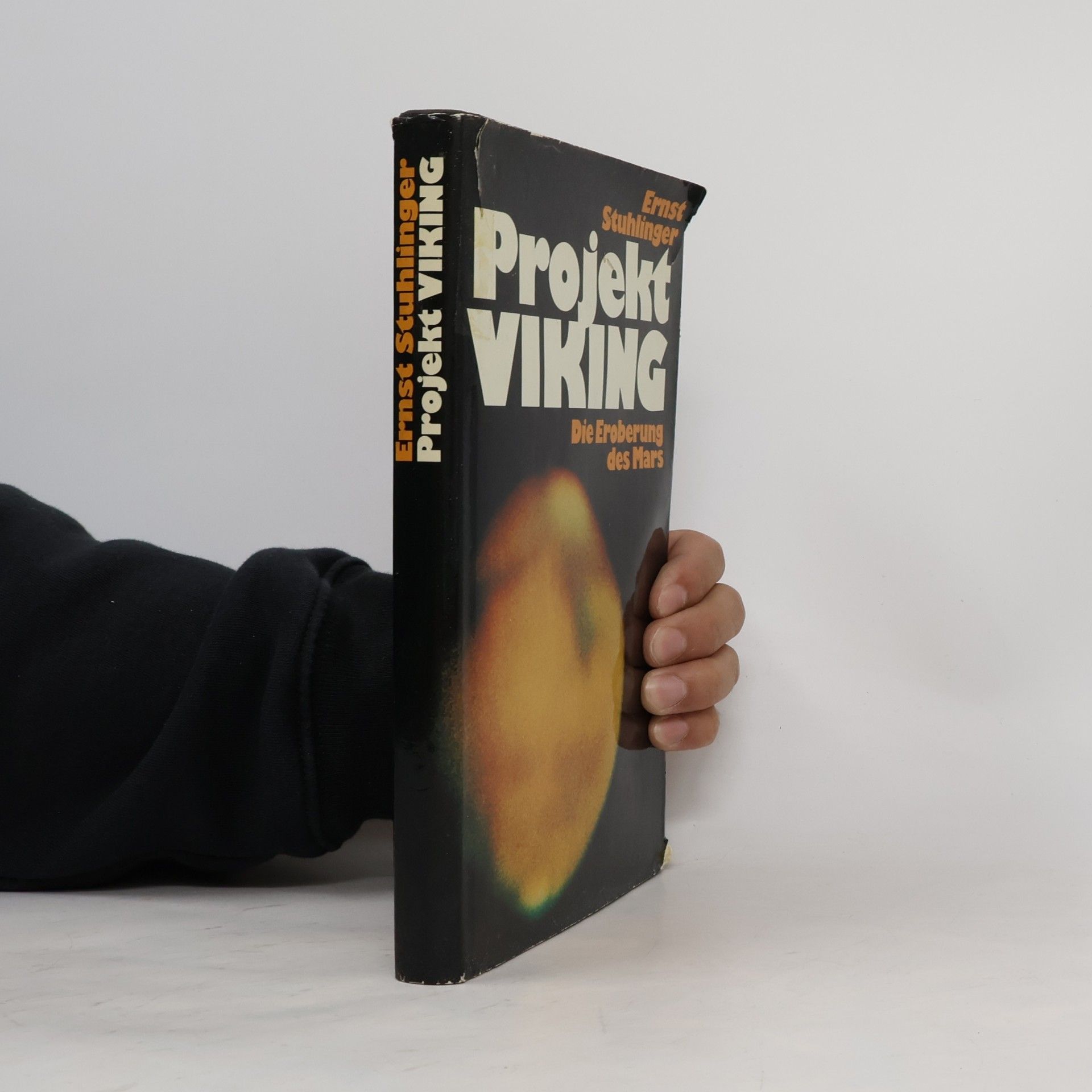 Projekt Viking