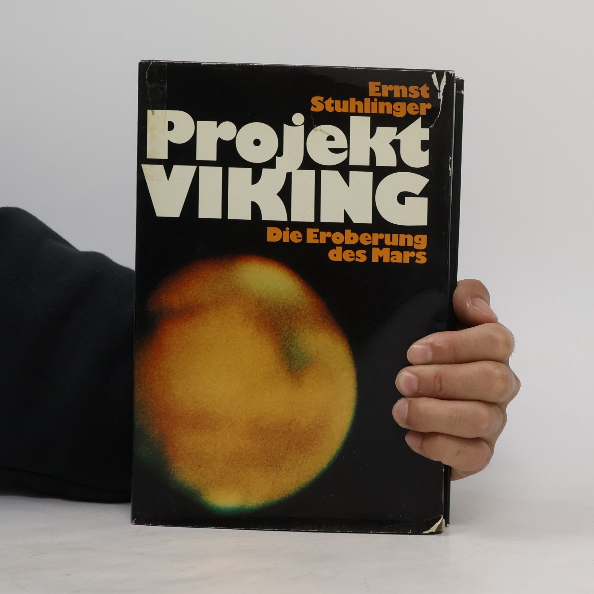 Hermann-Michael Hahn Projekt Viking