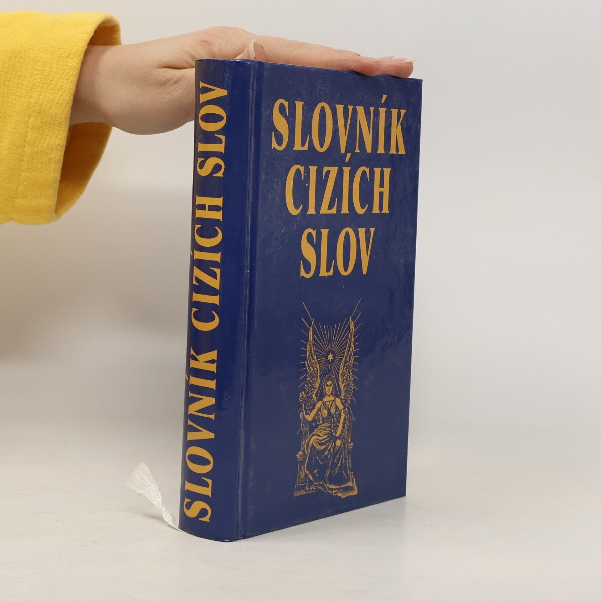 Kolektiv autorů Slovník cizích slov