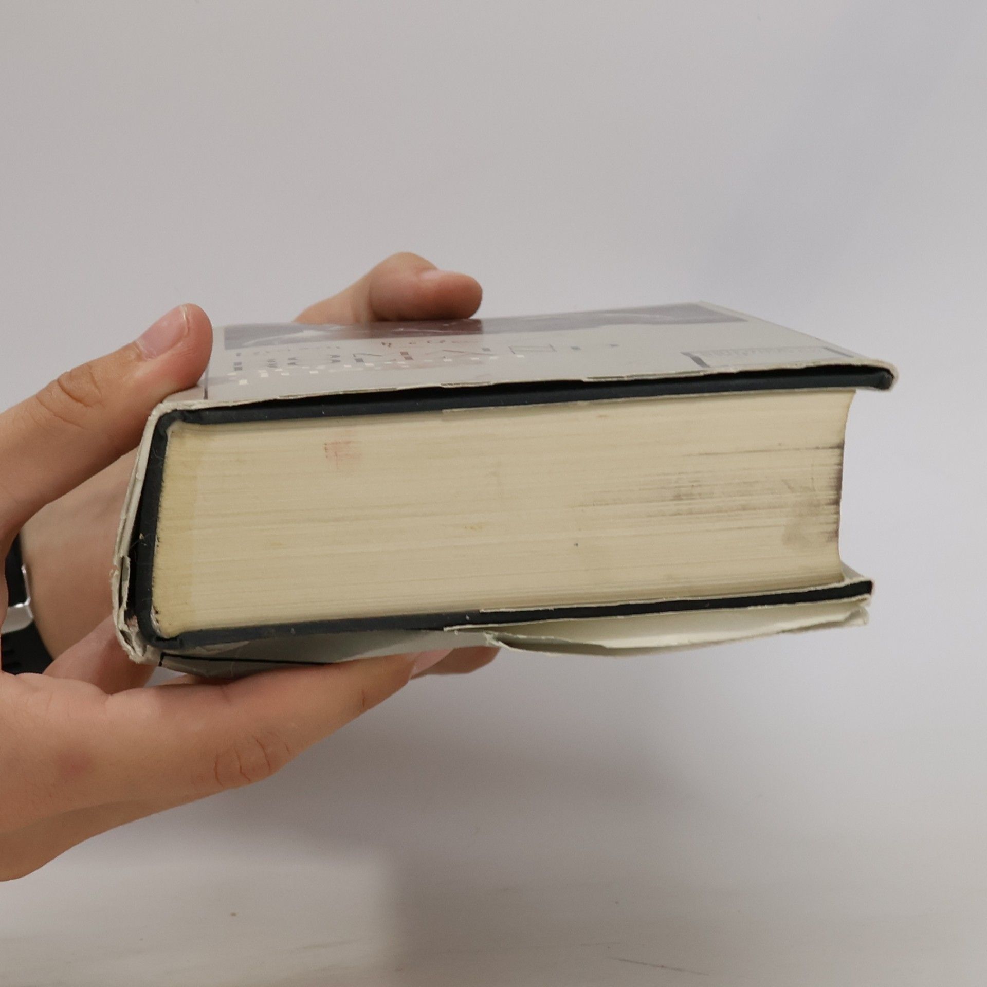 Romain Rolland Očarená duša 1. a 2. díl