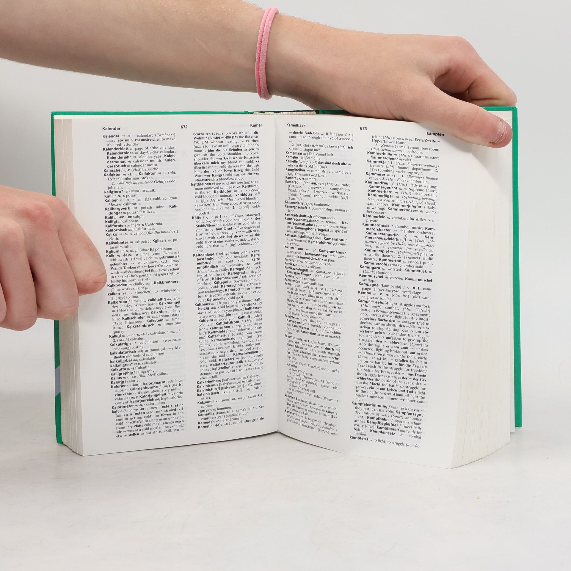 Roland Breitsprecher Globalwörterbuch : 2, Deutsch-English dictionary