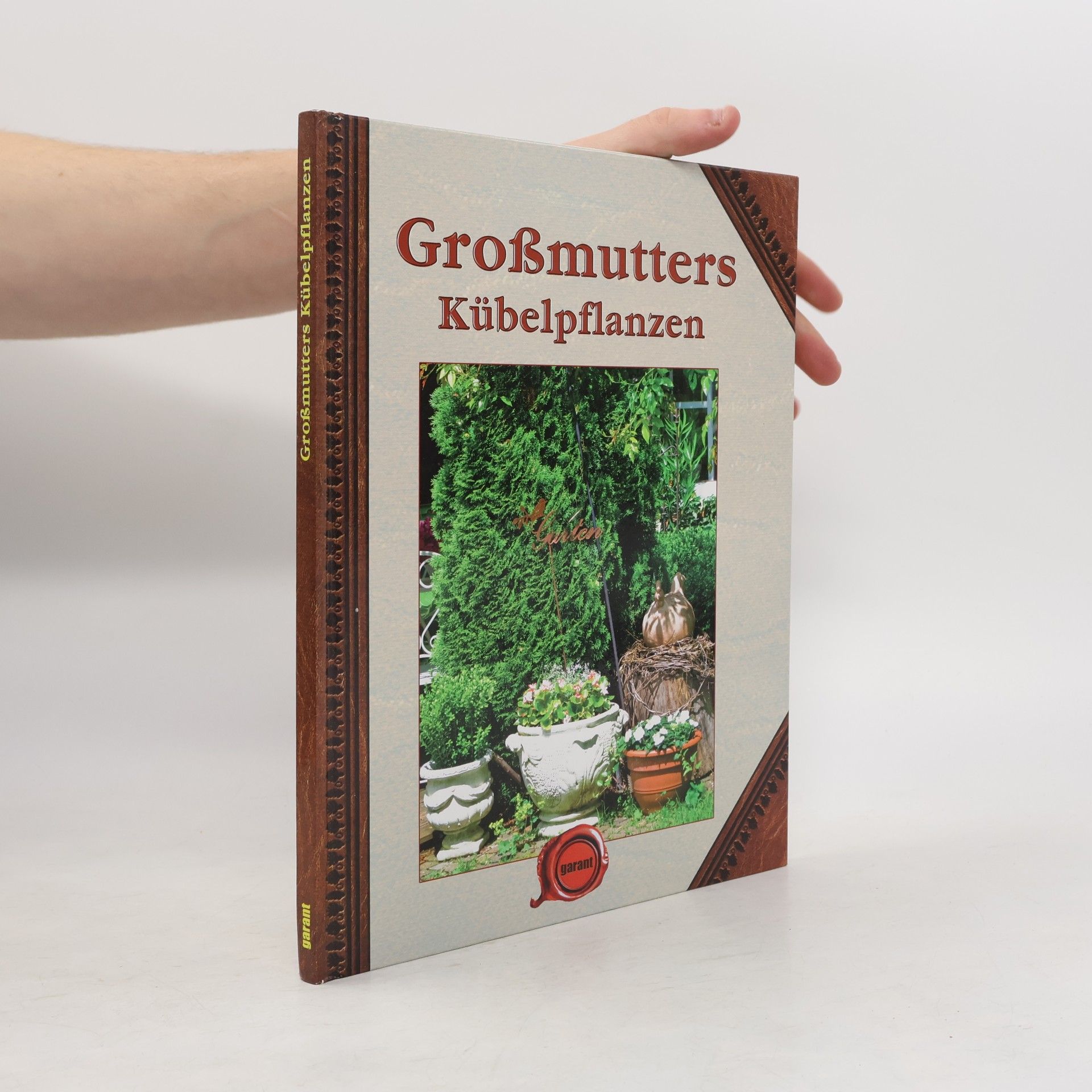 Autorenkollektiv Großmutters Kübelpflanzen