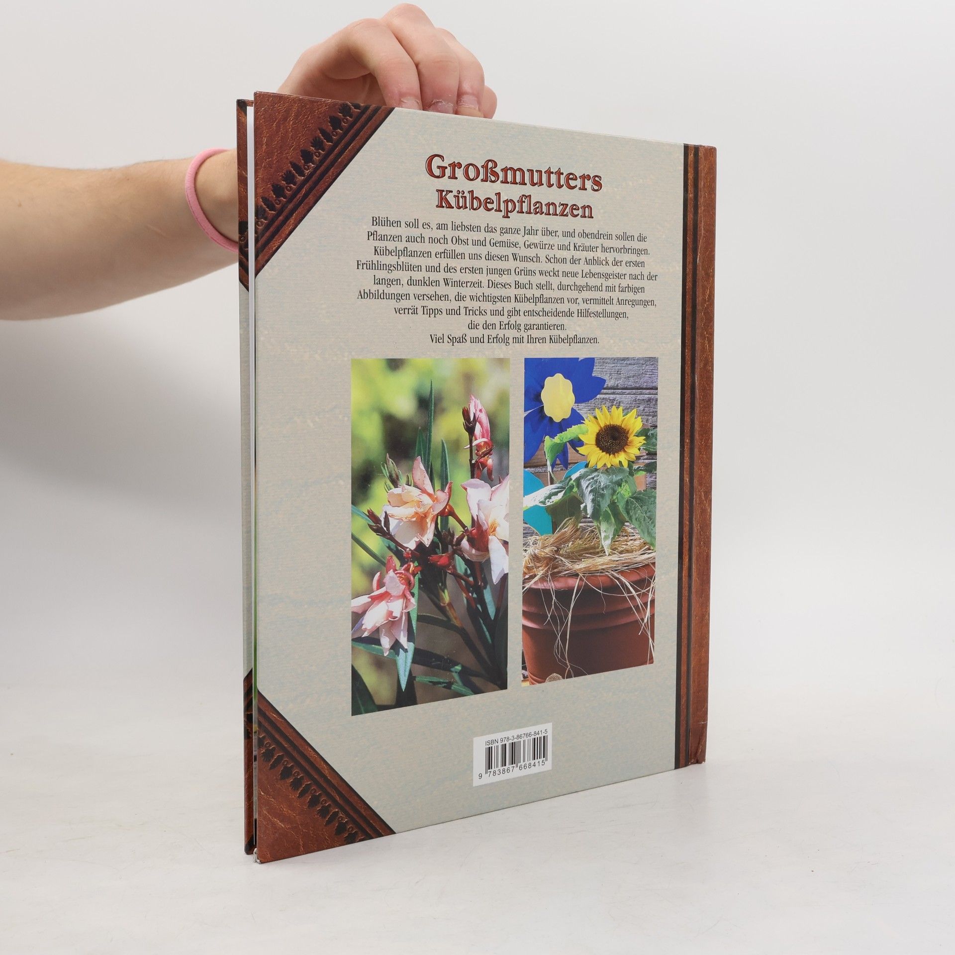 Großmutters Kübelpflanzen