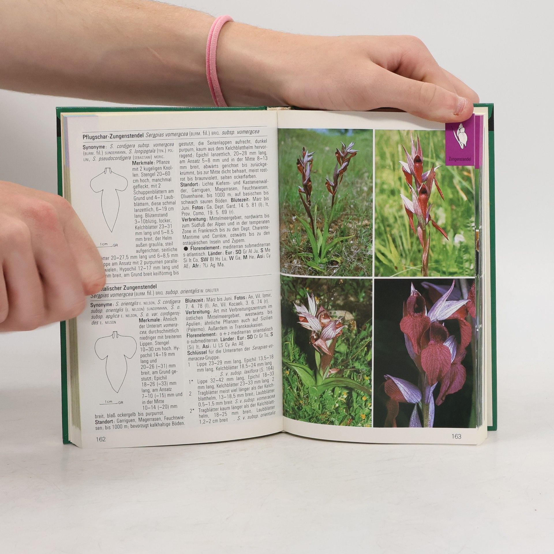 Kolektiv autorů Orchideen