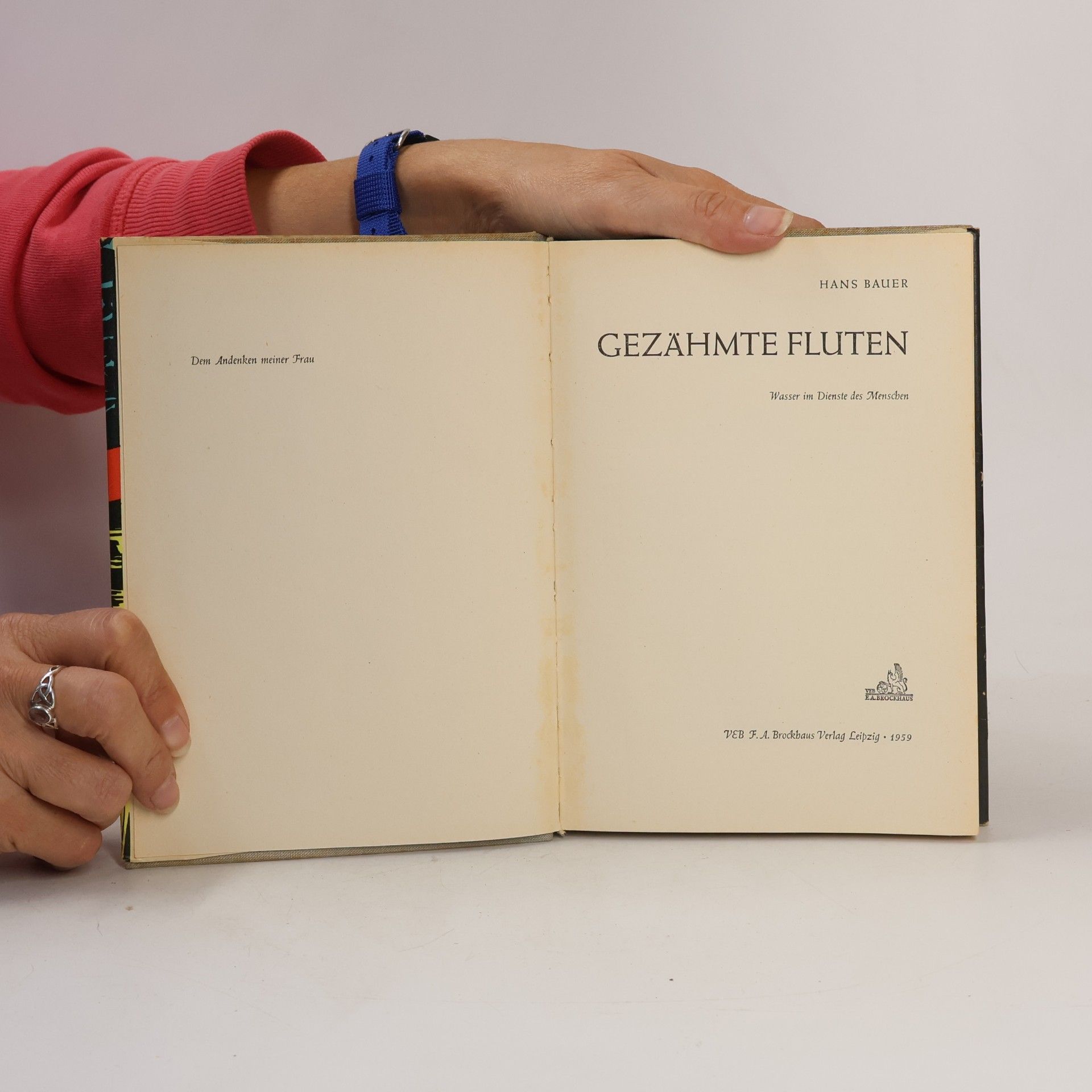 Hans H. Bauer Gezähmte Fluten