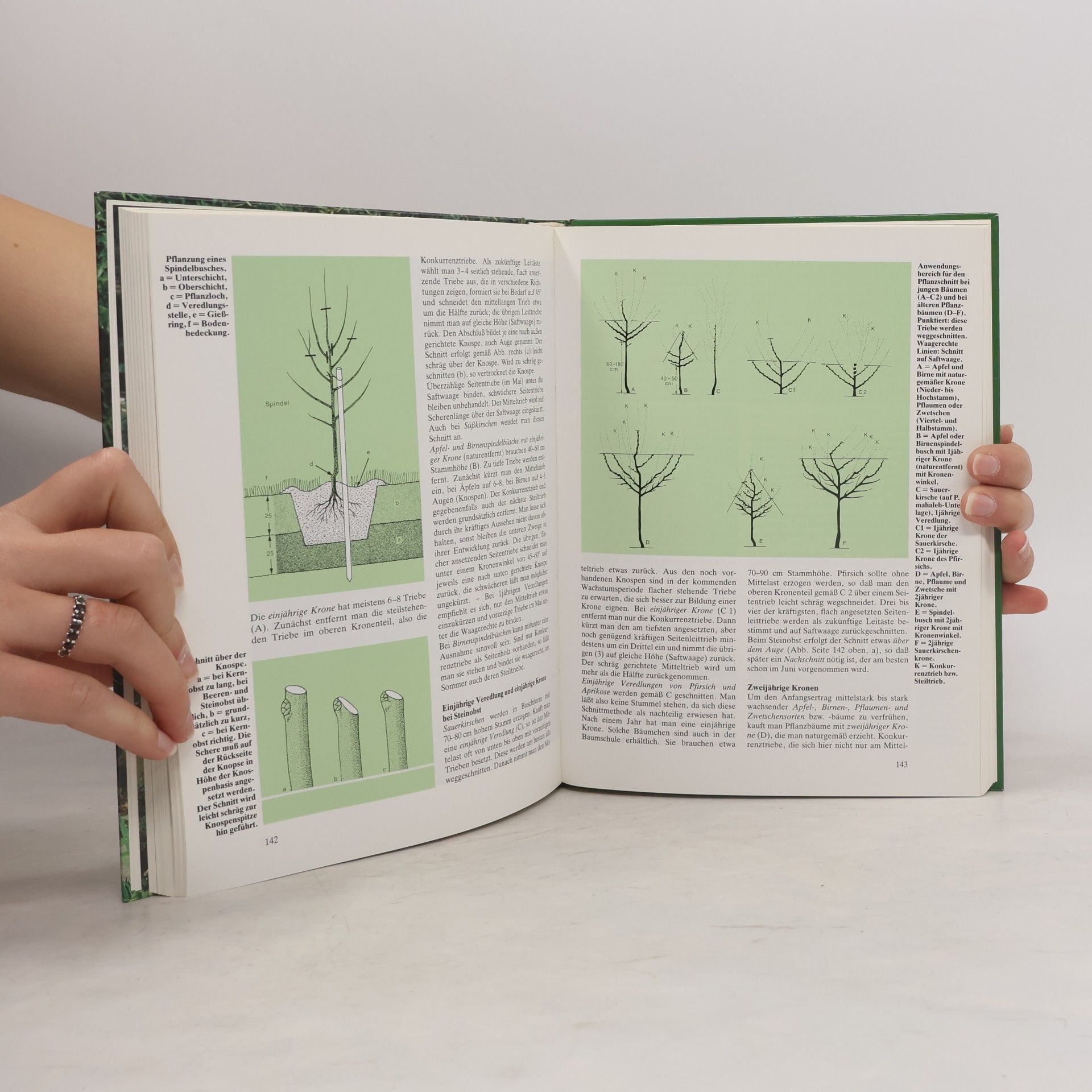 Paul Gerhard Wilhelm Das Gartenbuch für jedermann