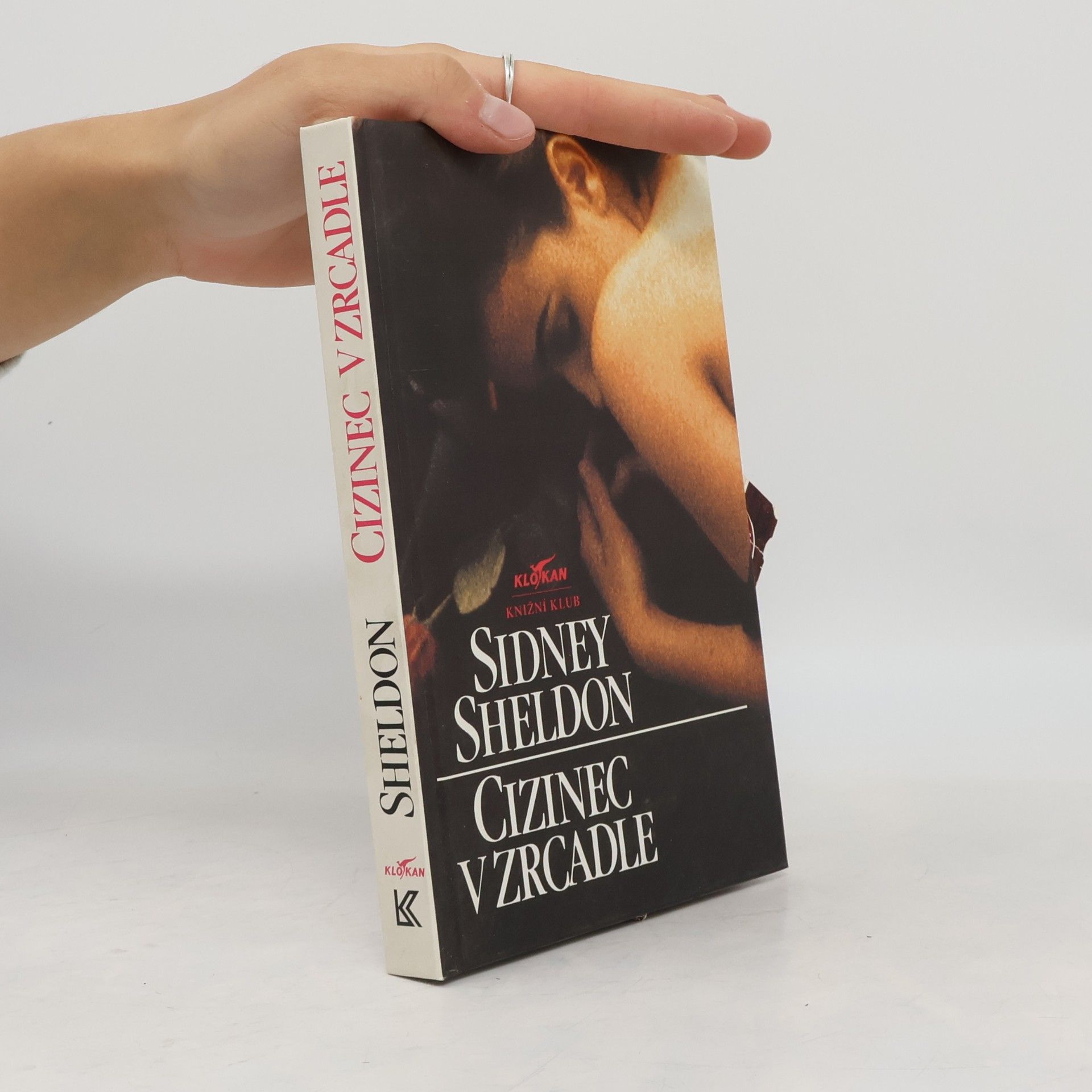 Sidney Sheldon Cizinec v zrcadle