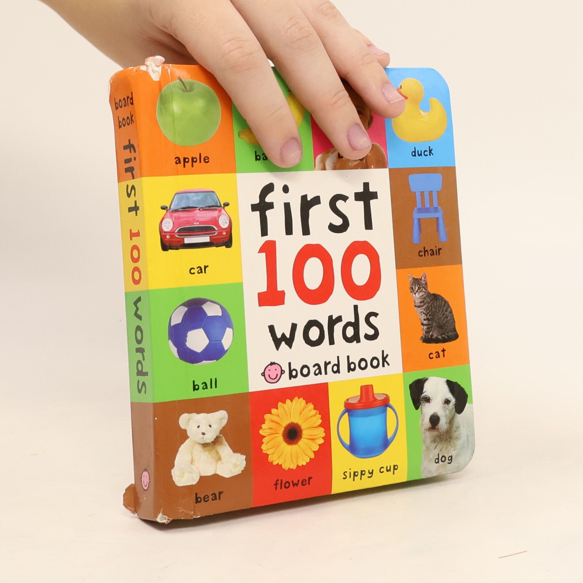 Priddy Books First 100 words
