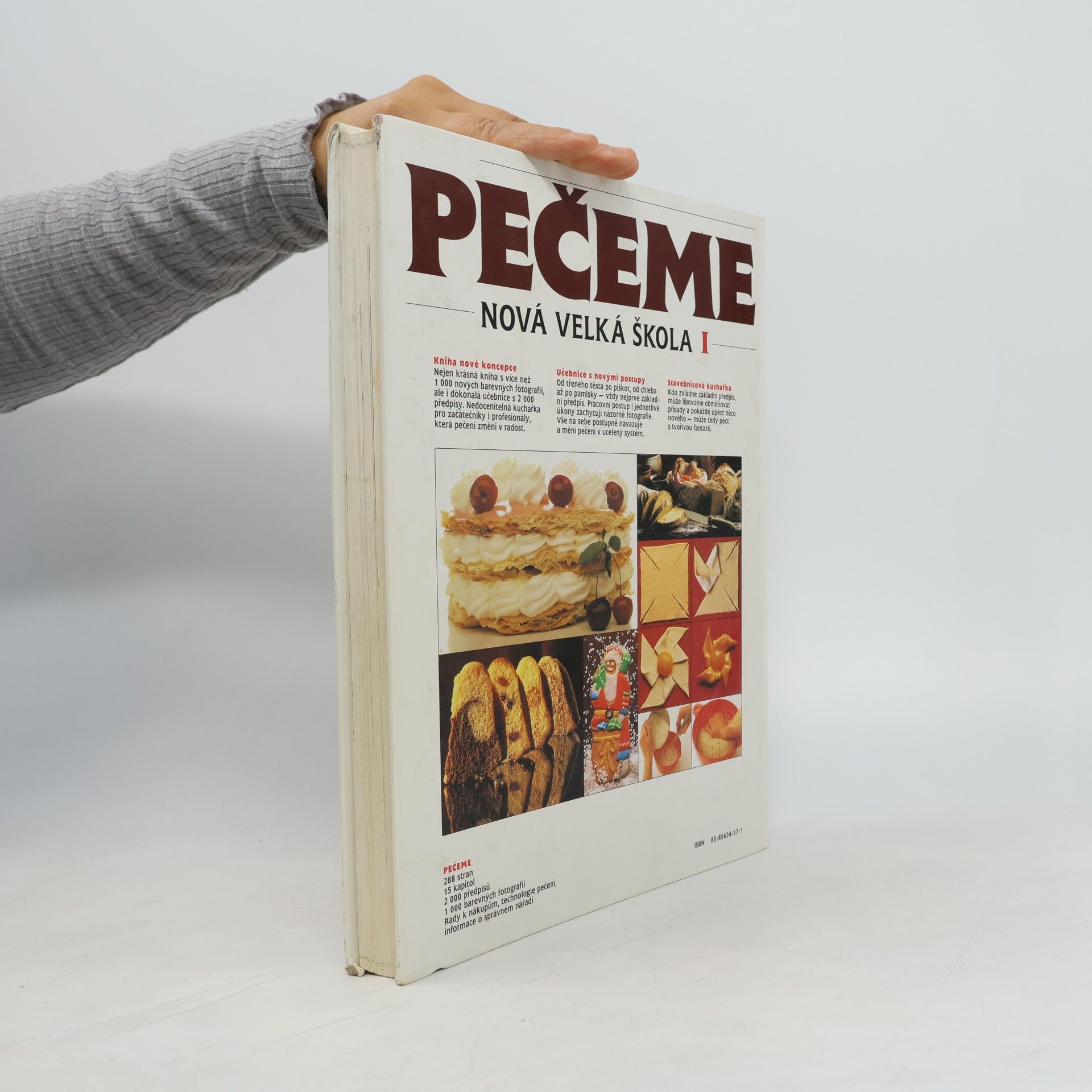 Arnold Zabert Nová velká škola. 1, Pečeme.