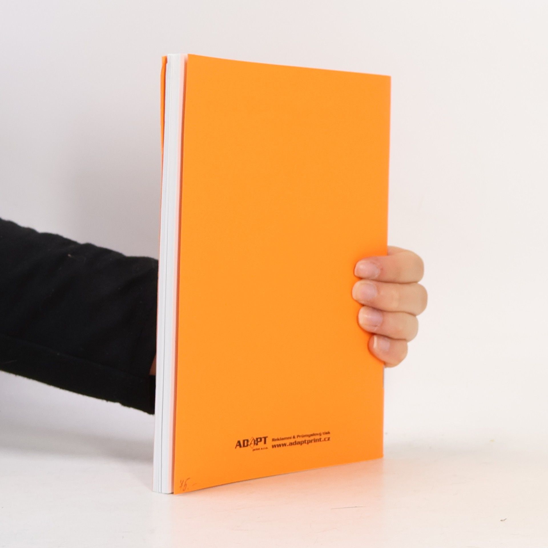 Autorenkollektiv Tématické okruhy otázek k přijímacím zkouškám - fyzika