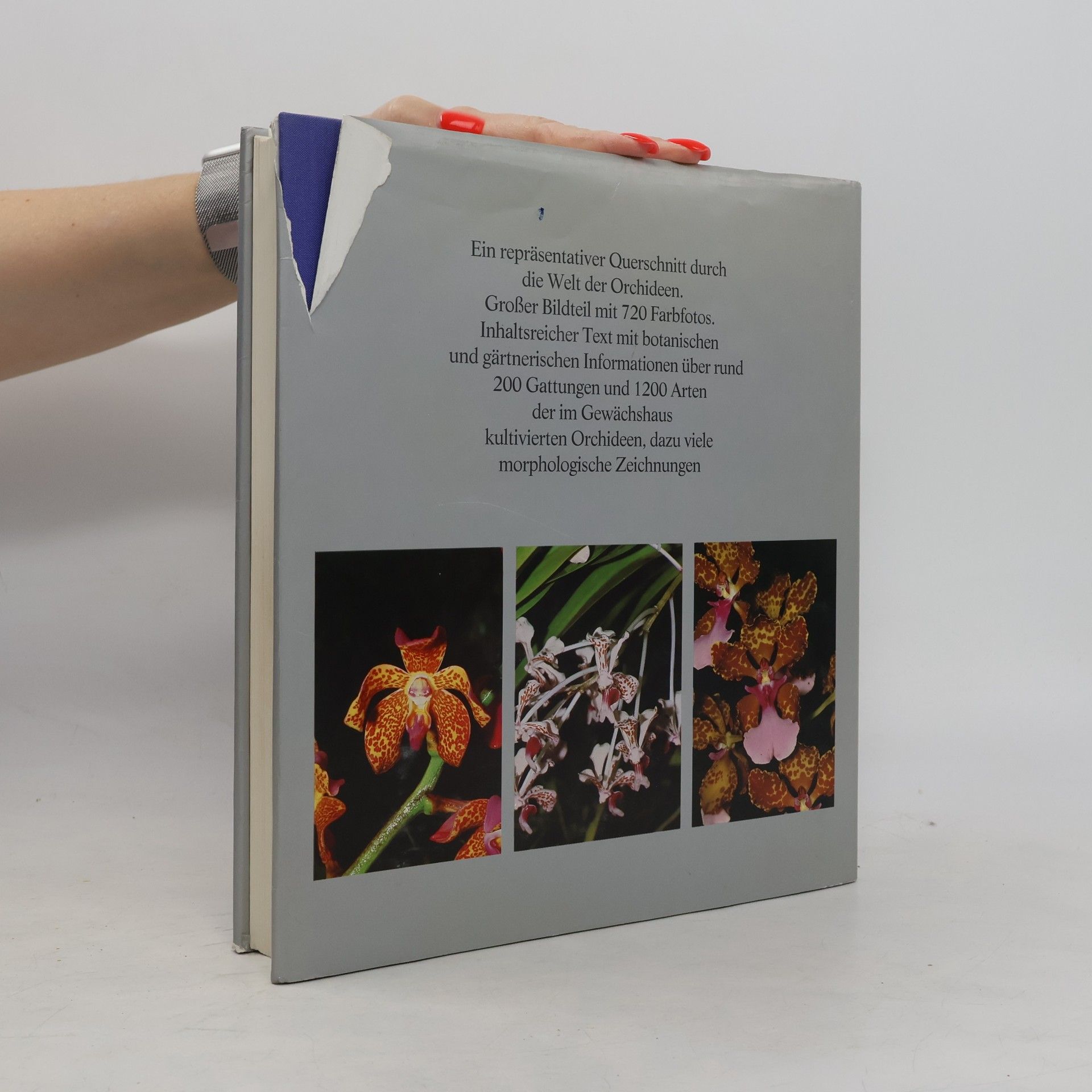 Helmut Bechtel Orchideenatlas