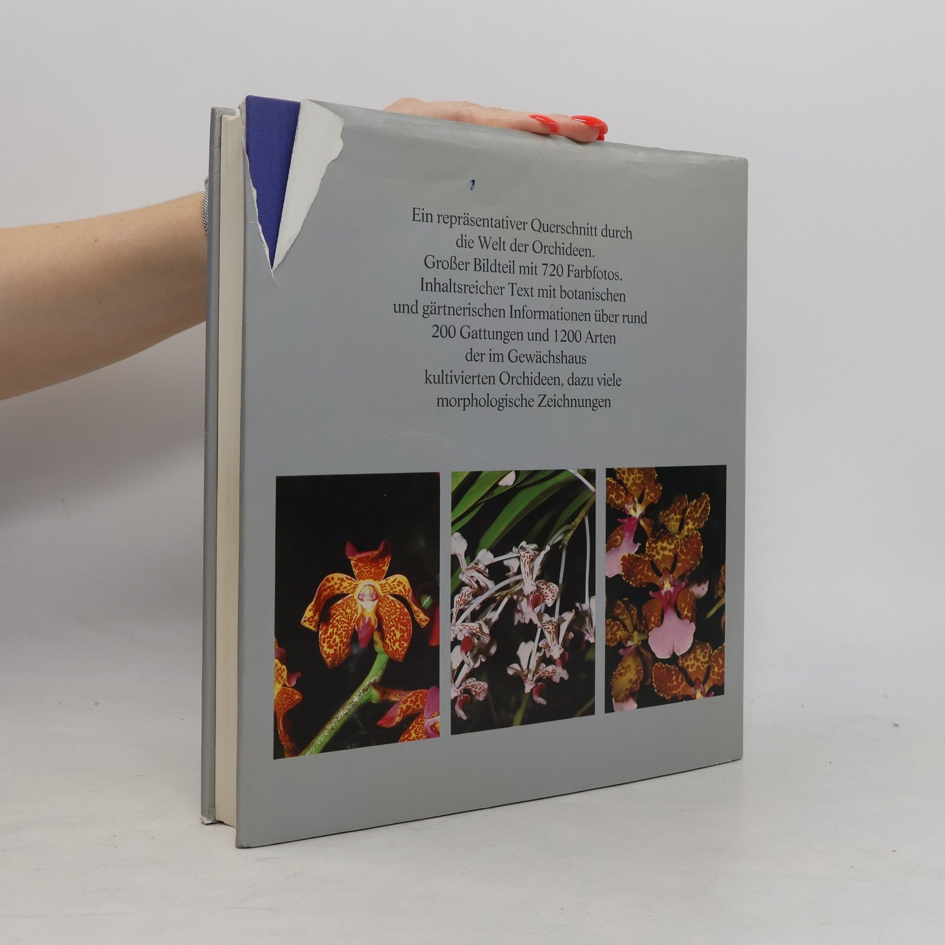 Helmut Bechtel Orchideenatlas