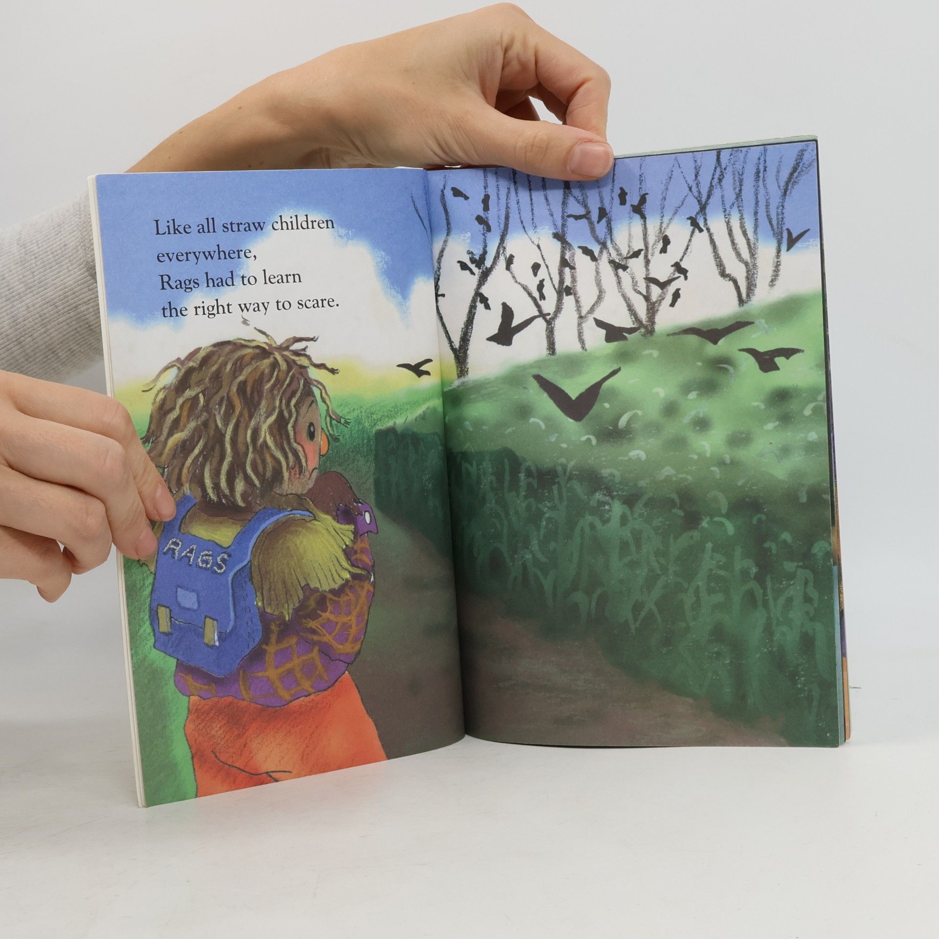 Mary Packard Shy Scarecrow Goes to School