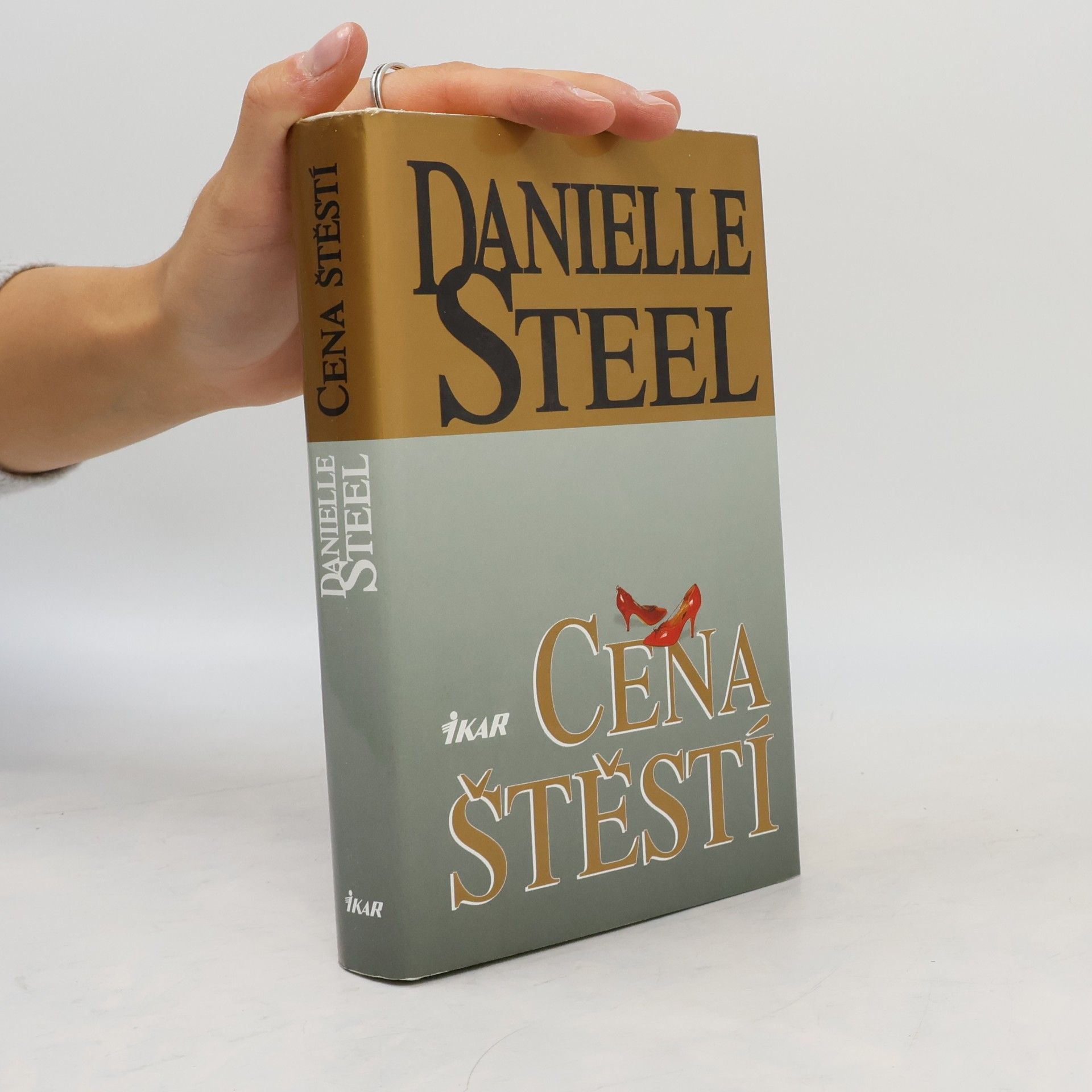 Danielle Steel Cena štěstí