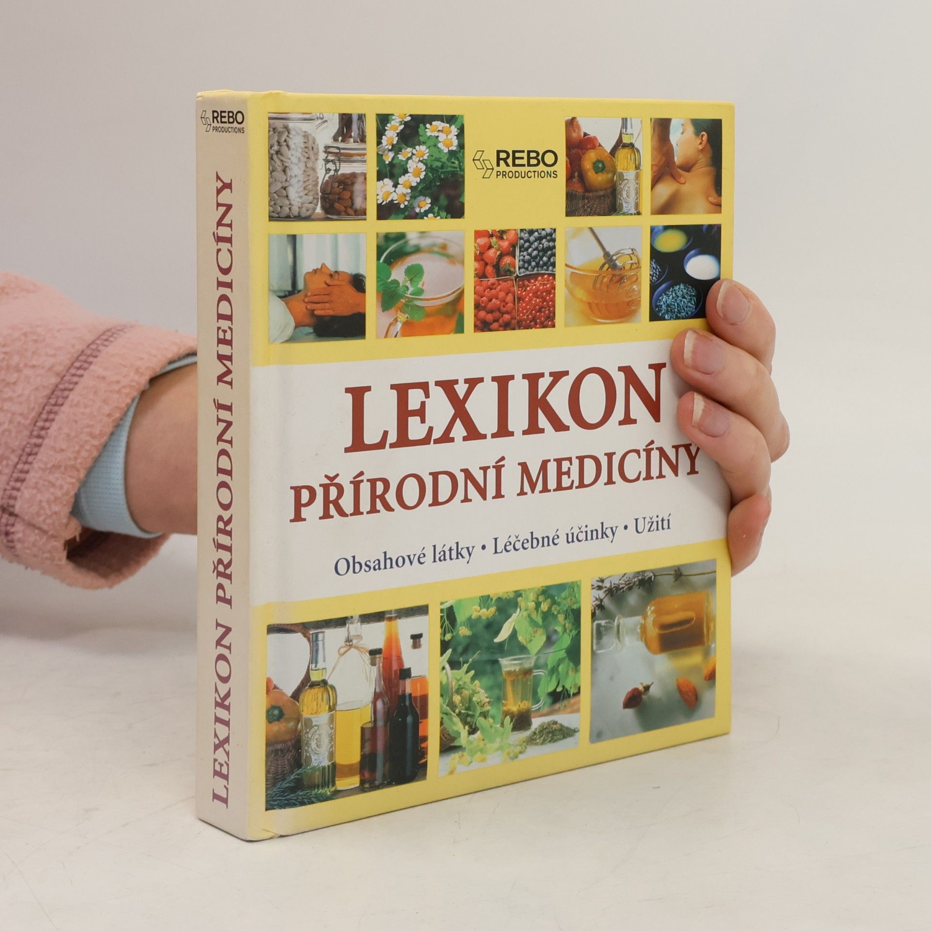Anne Iburg Lexikon přírodní medicíny