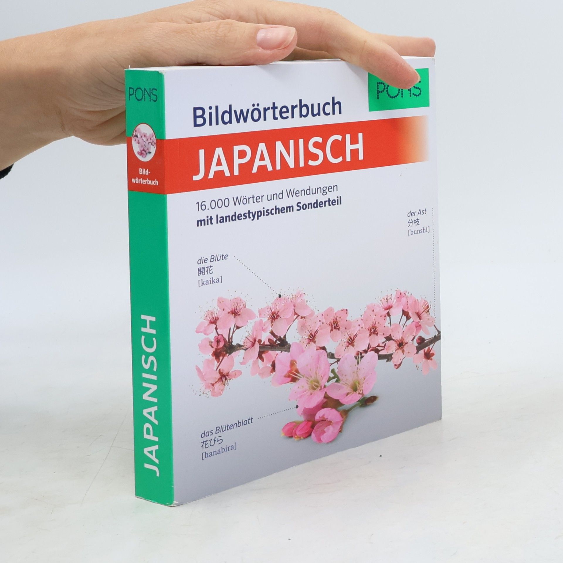Pons GmbH PONS Bildwörterbuch Japanisch