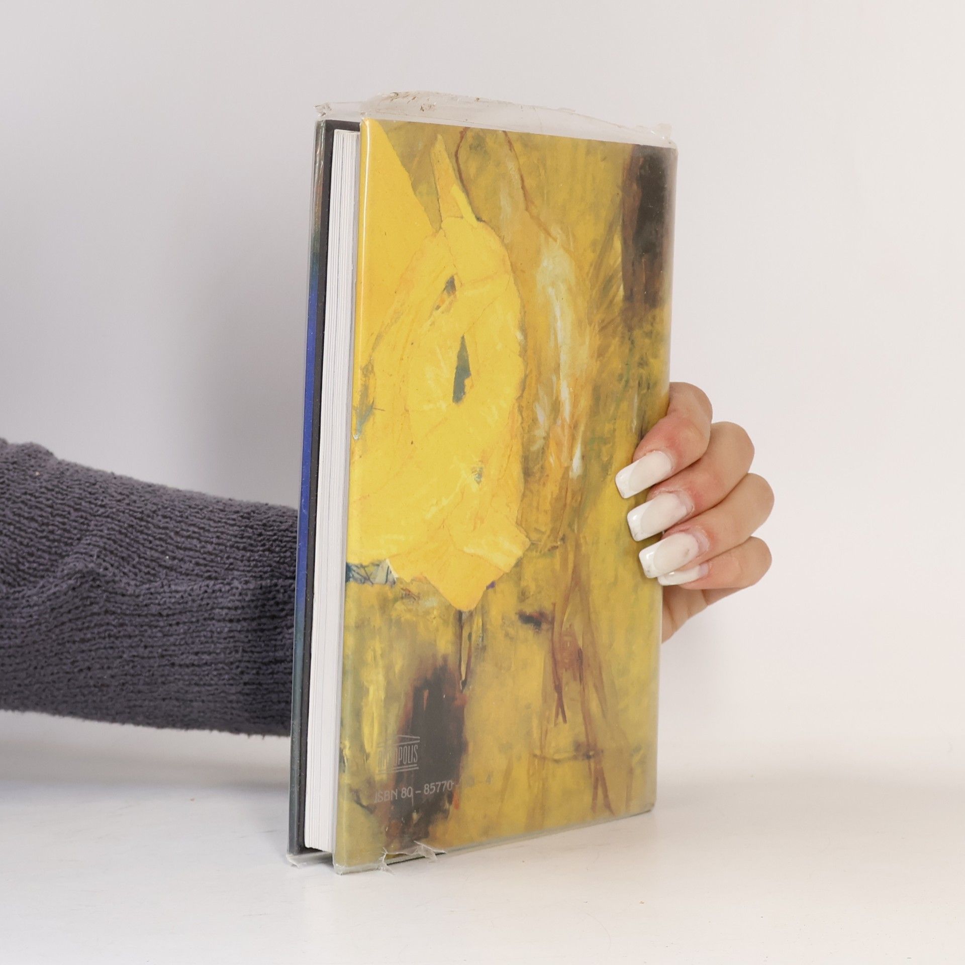 Franz Kafka Dopis otci a jiné částečné povídky : (nepřeložené prózy)