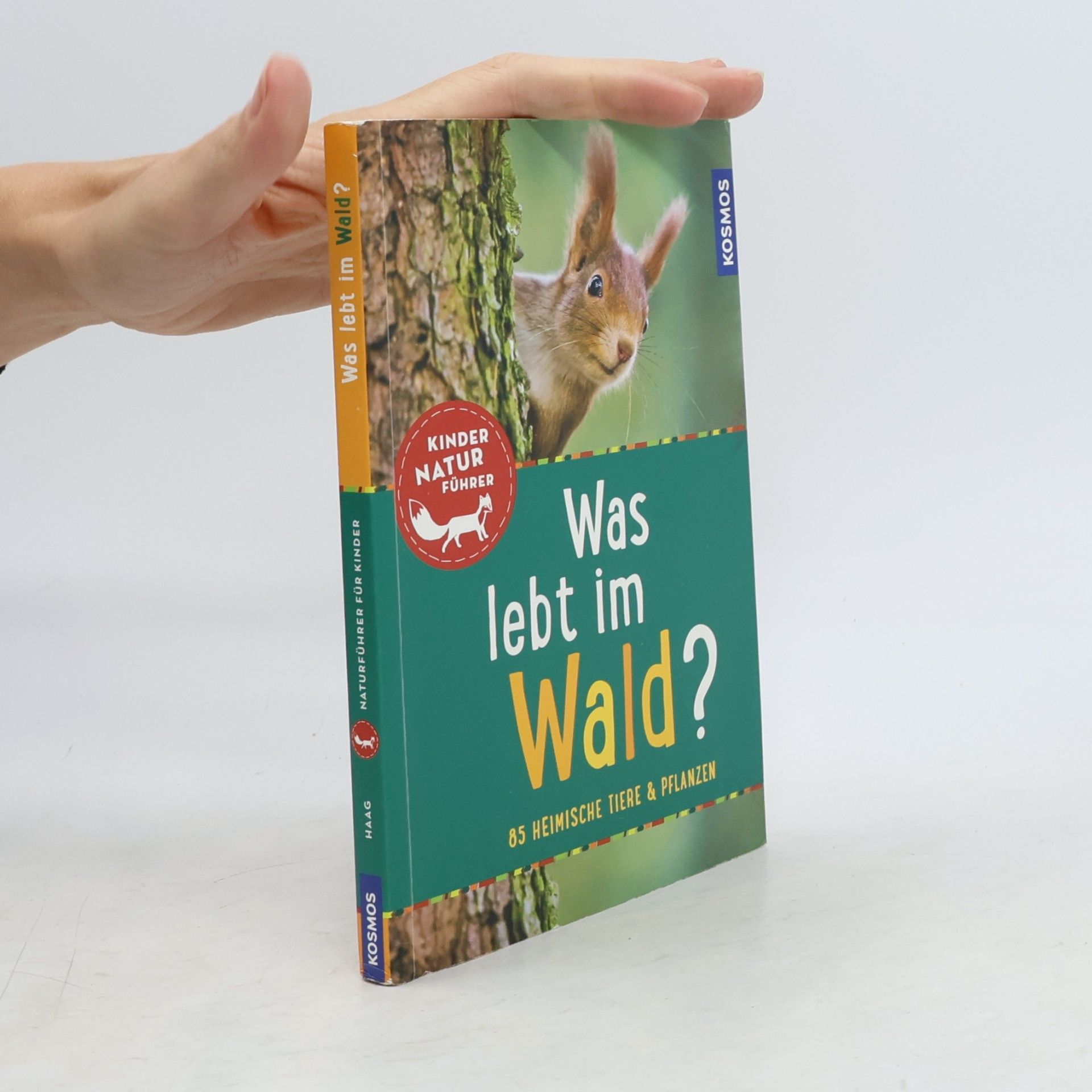 Holger Haag Was lebt im Wald?