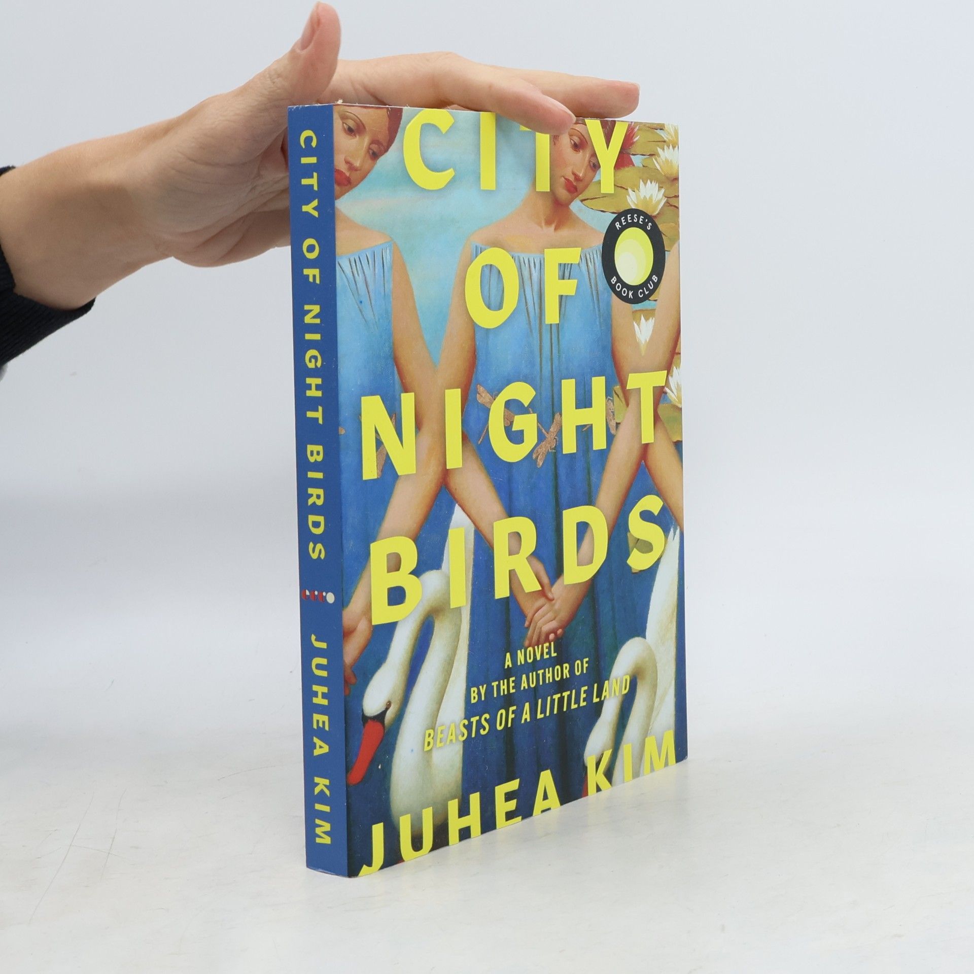 Juhea Kim City of Night Birds