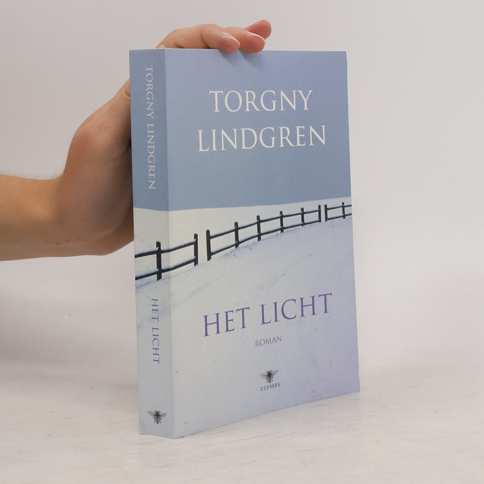 Bertie van der Meij Het licht