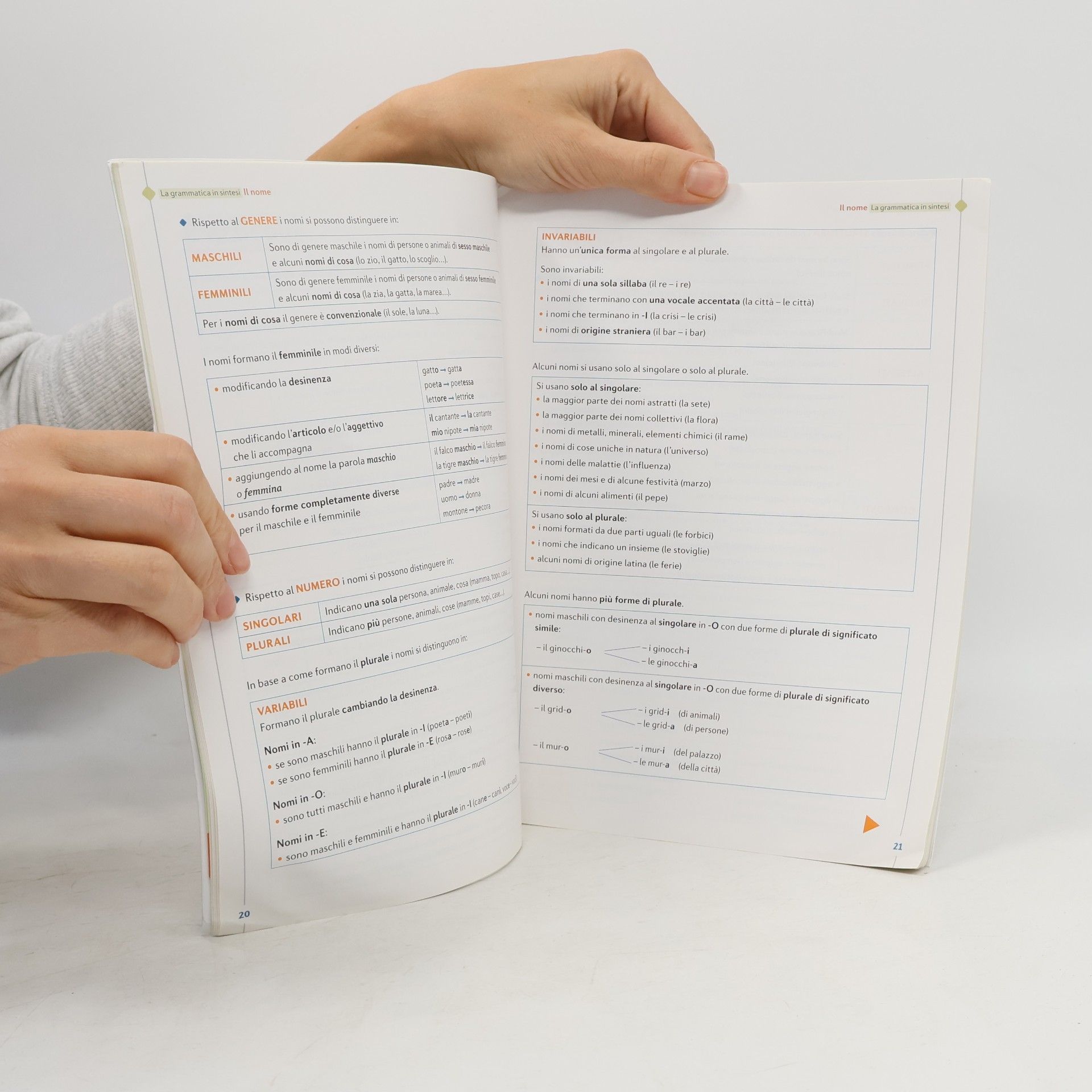 Anna Ferralasco Parole che servono. La grammatica essenziale. Per le Scuole superiori. Con e-book. Con espansione online