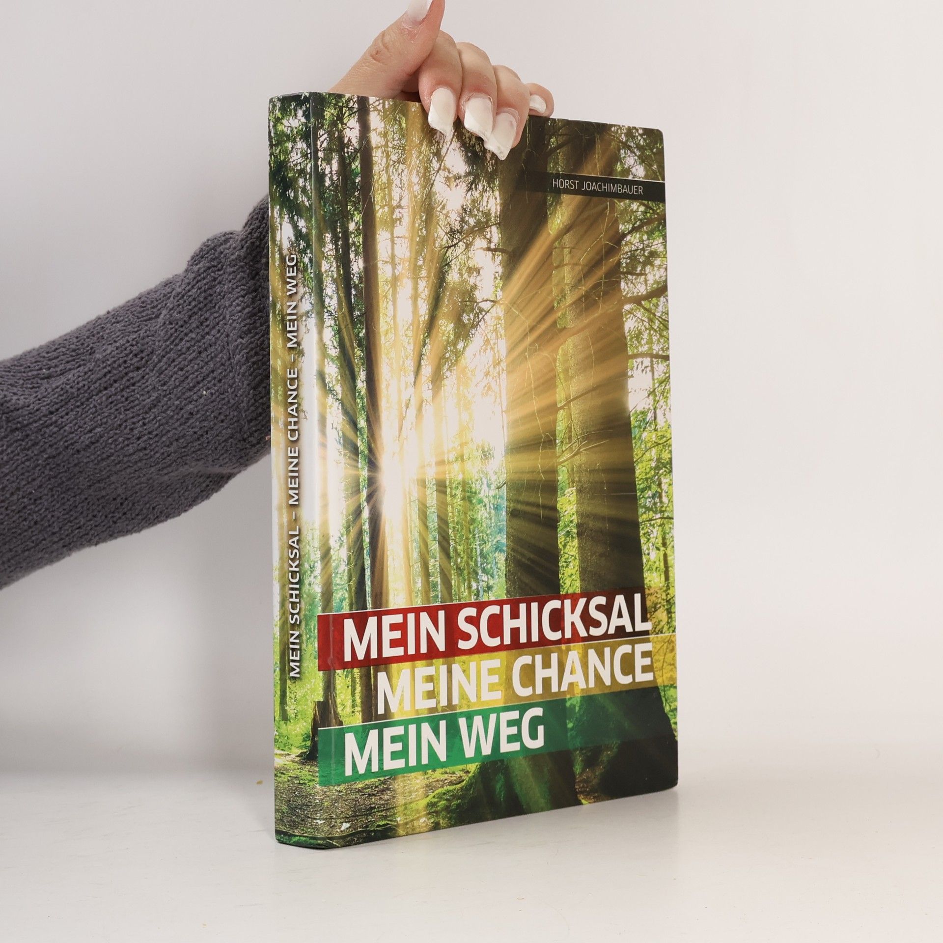 Erich Gutsjahr Die Weisheiten eines Surflehrers