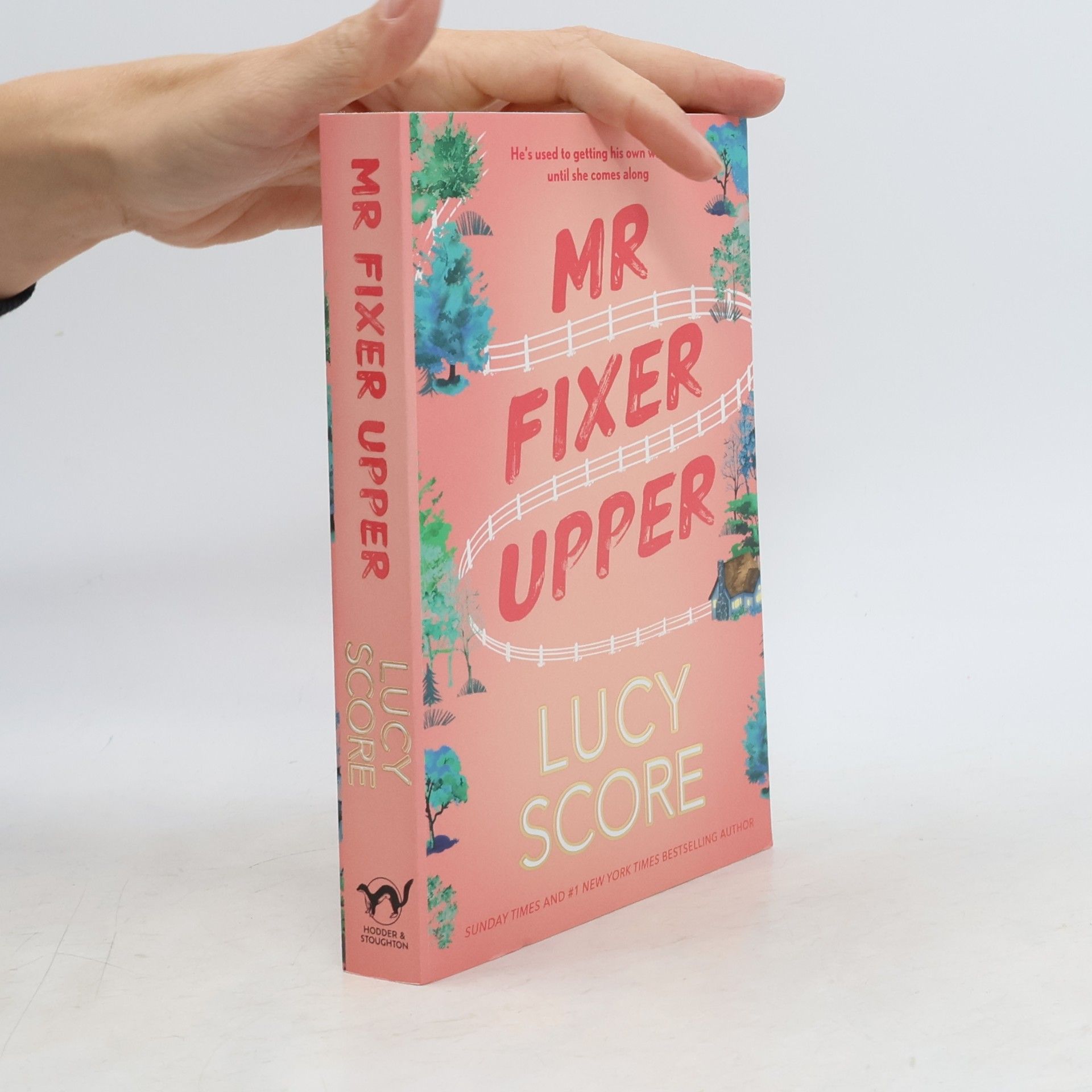 Lucy Score Mr Fixer Upper: the new romance from the bestselling Tiktok sensation!
