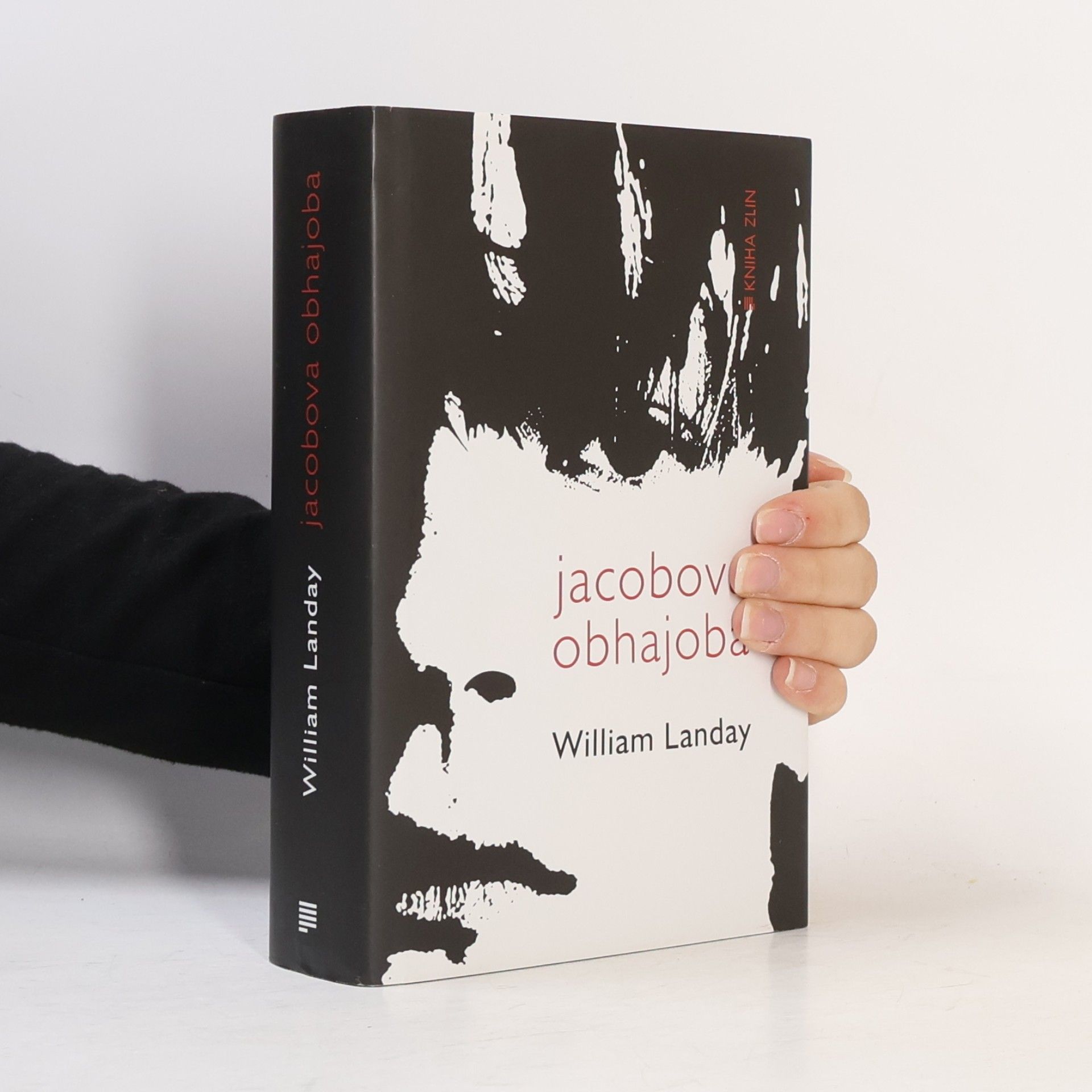 William Landay Jacobova obhajoba