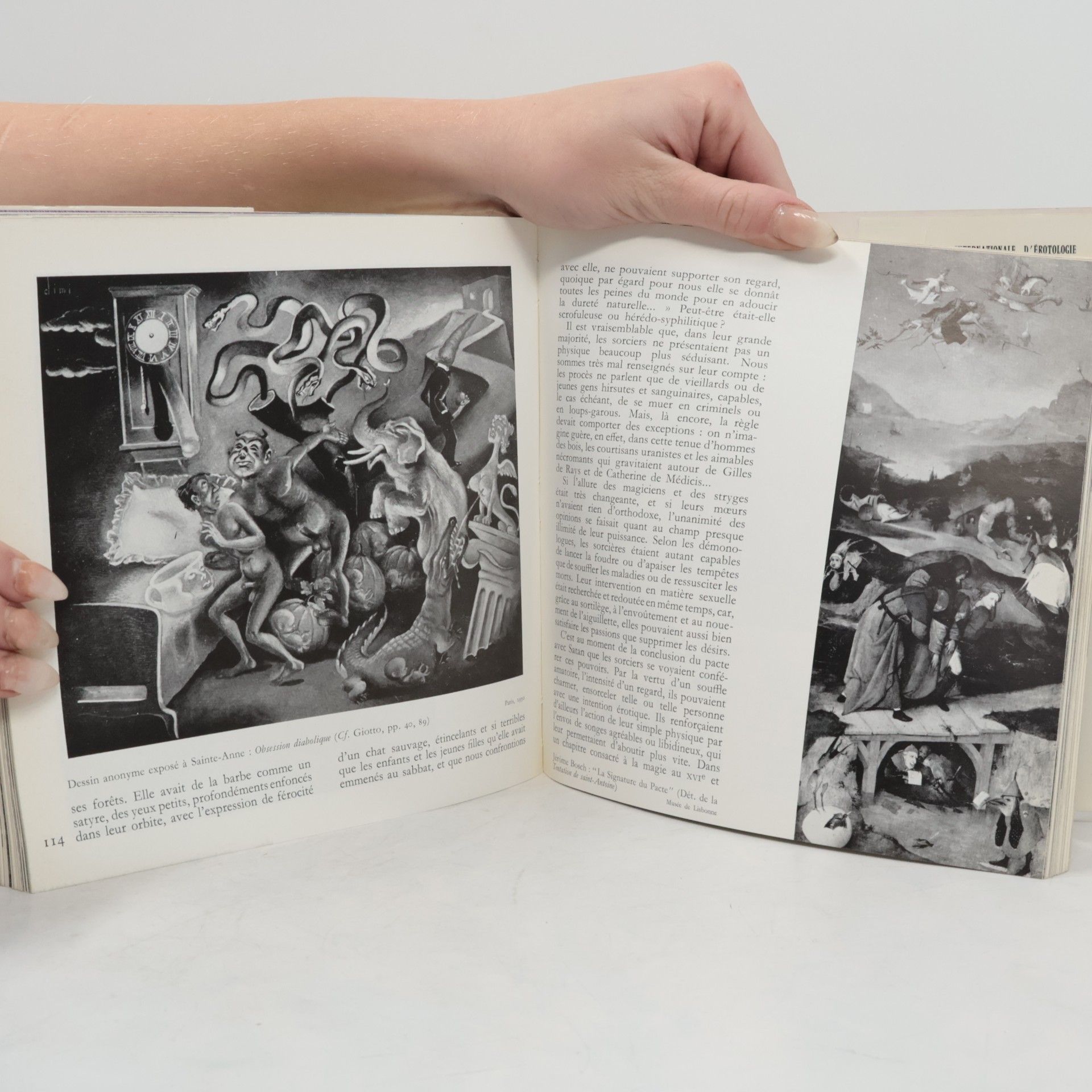 Roland Villeneuve Le Diable: Érotologie de Satan