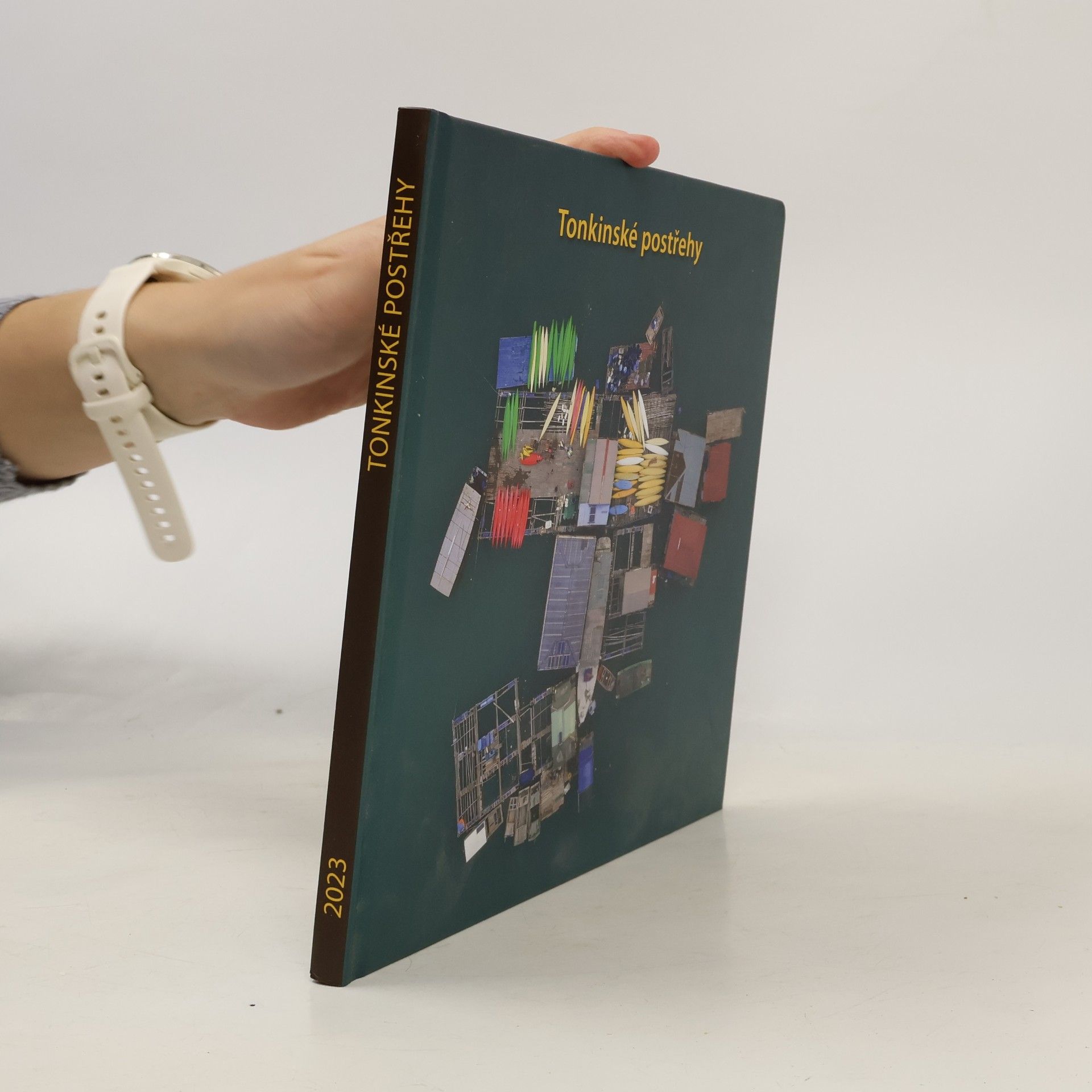 Collectif d'auteurs Tonkinské postřehy