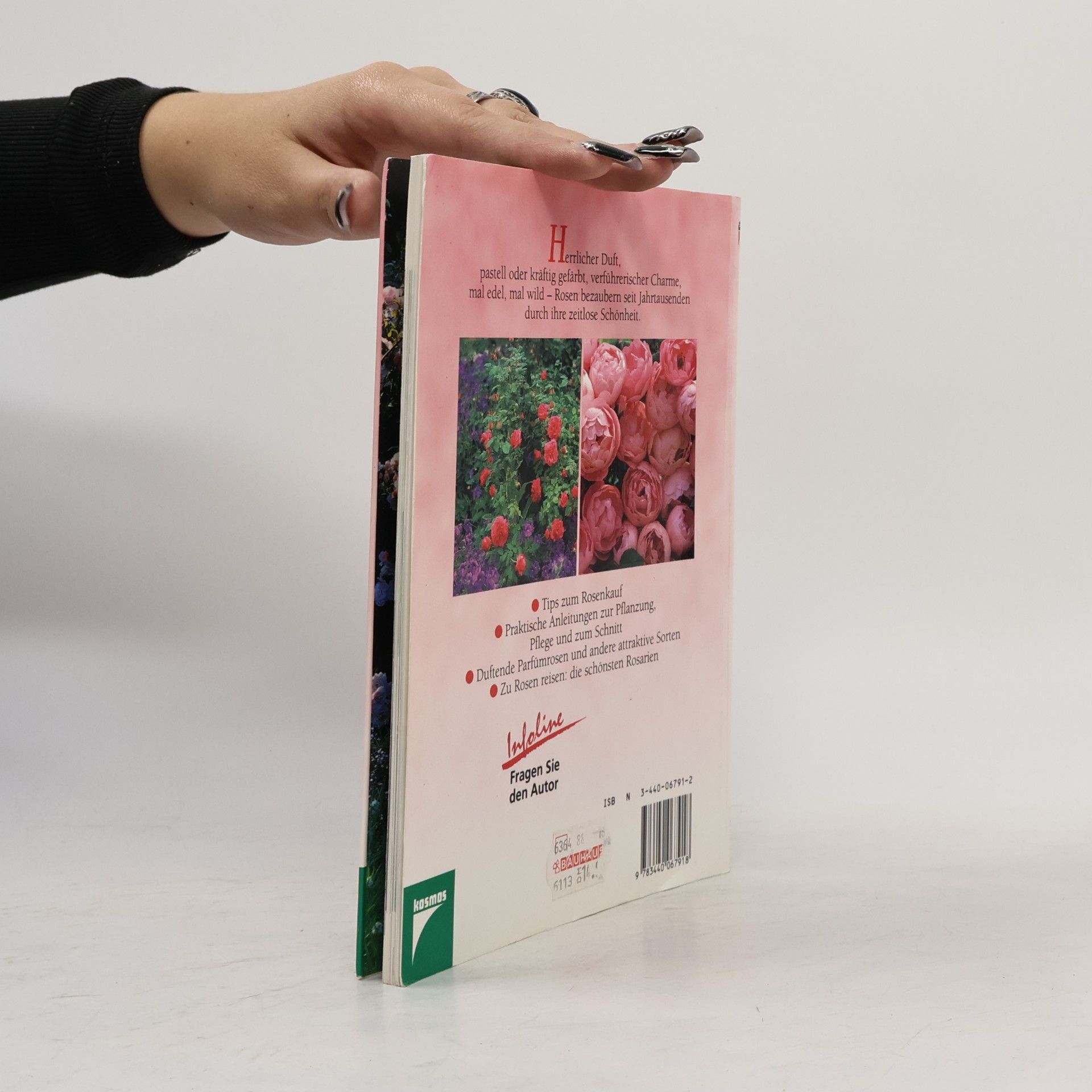Robert Markley Freude an Rosen
