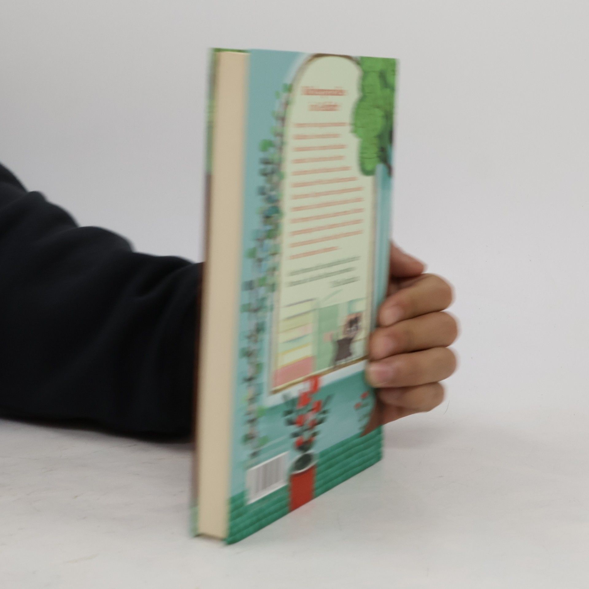 Sylvia Bishop Das Mädchen, das im Buchladen gefunden wurde