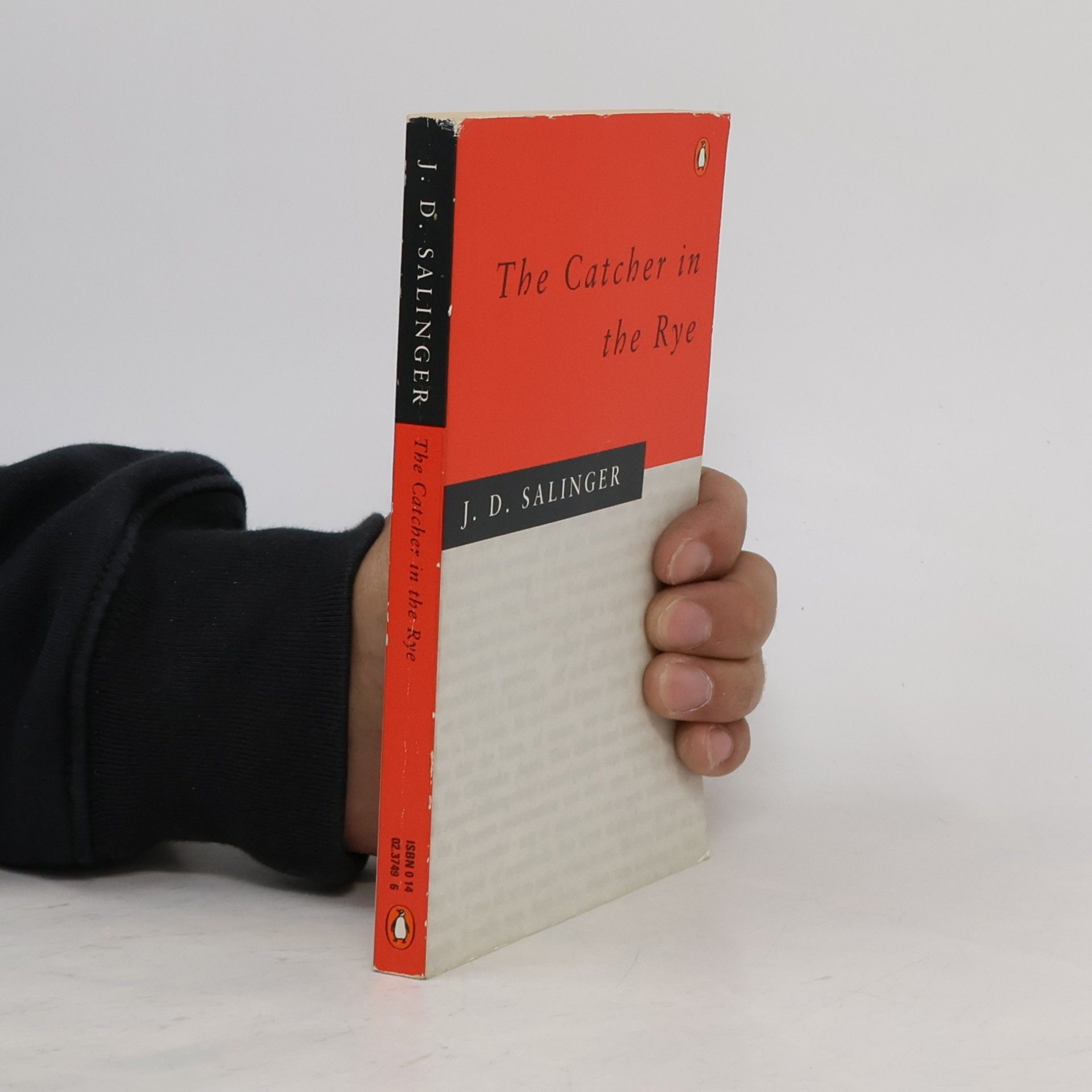 The Catcher in the Rye