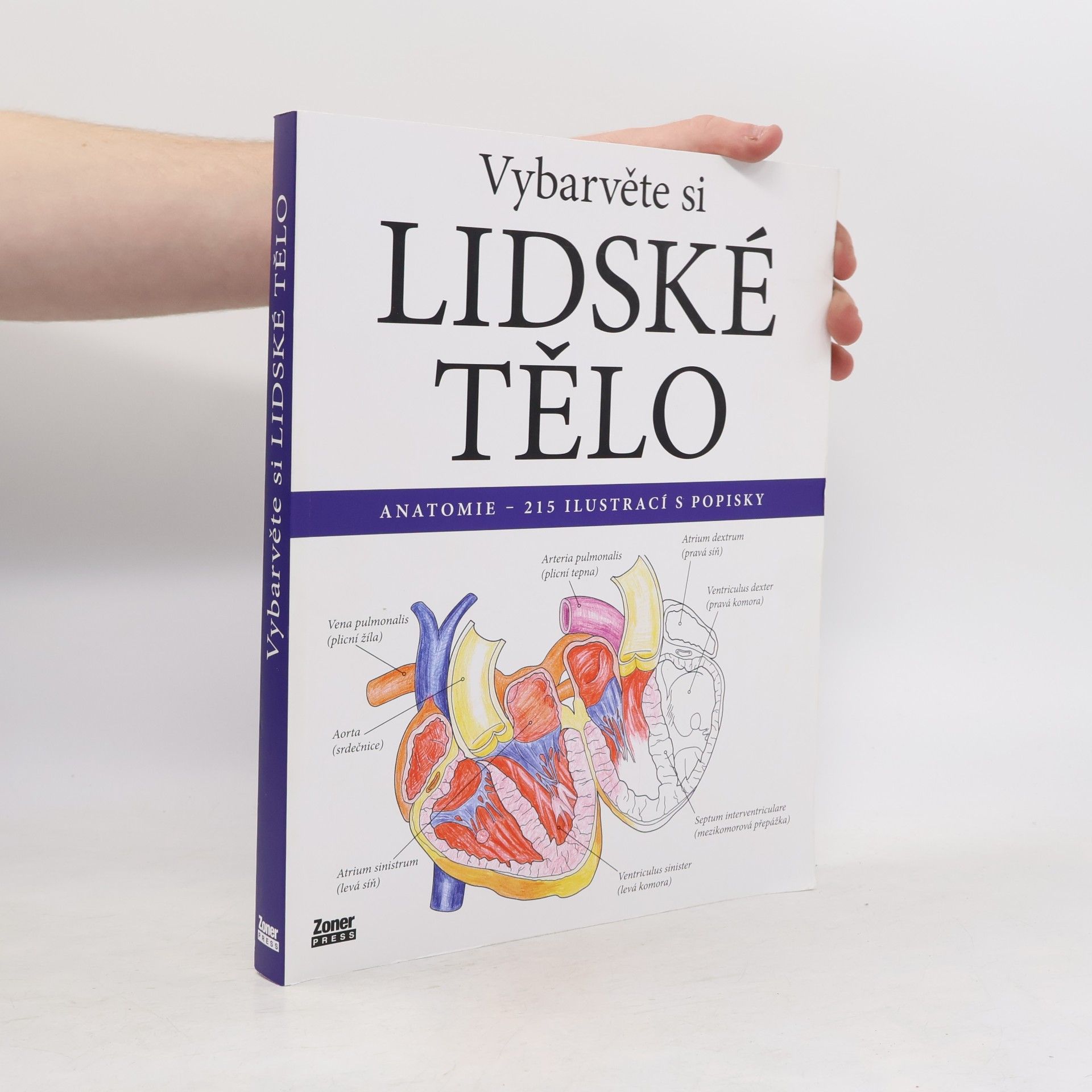 Evelína Kovácsová Vybarvěte si lidské tělo : anatomie - 215 ilustrací s popisky
