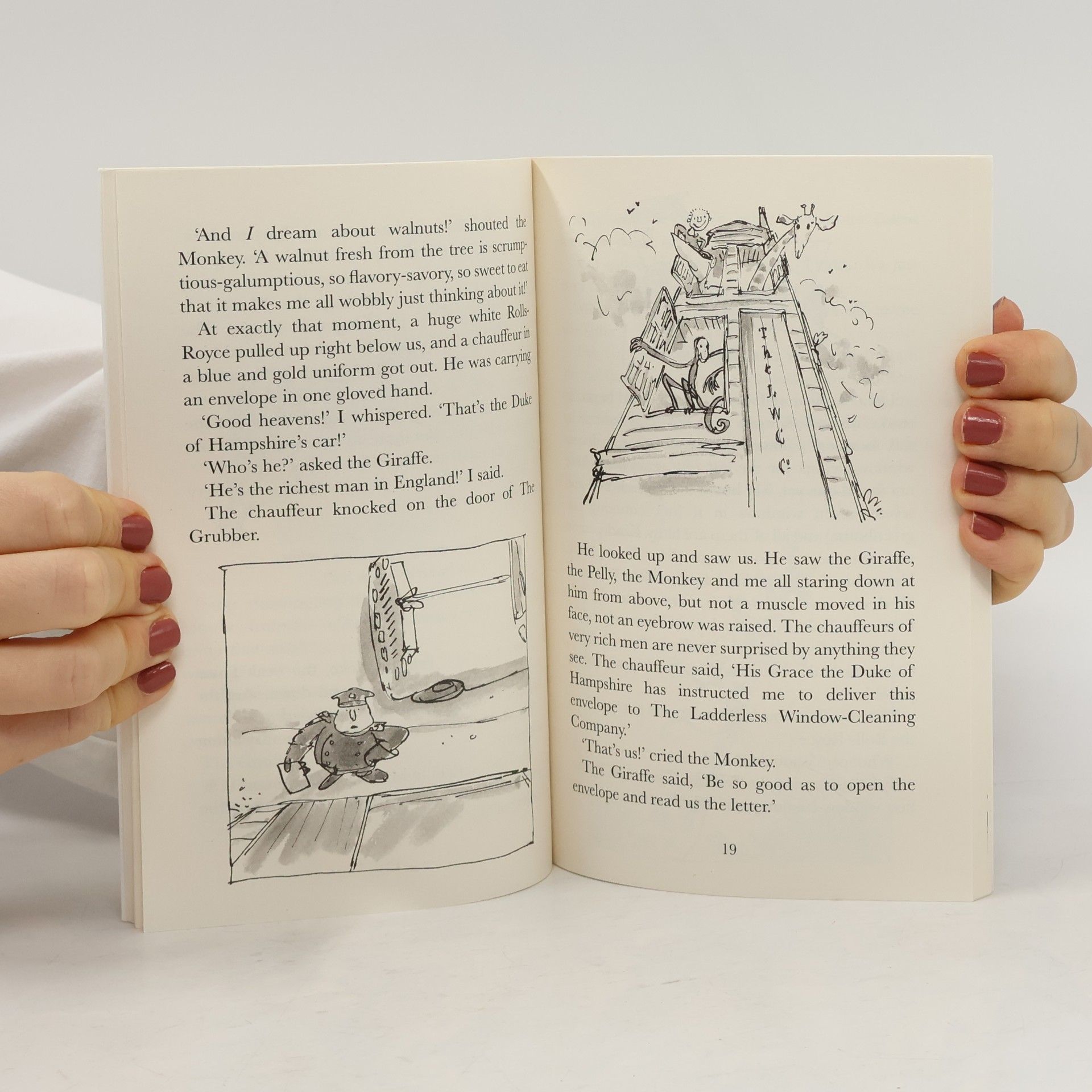 Roald Dahl The Giraffe and the Pelly and Me