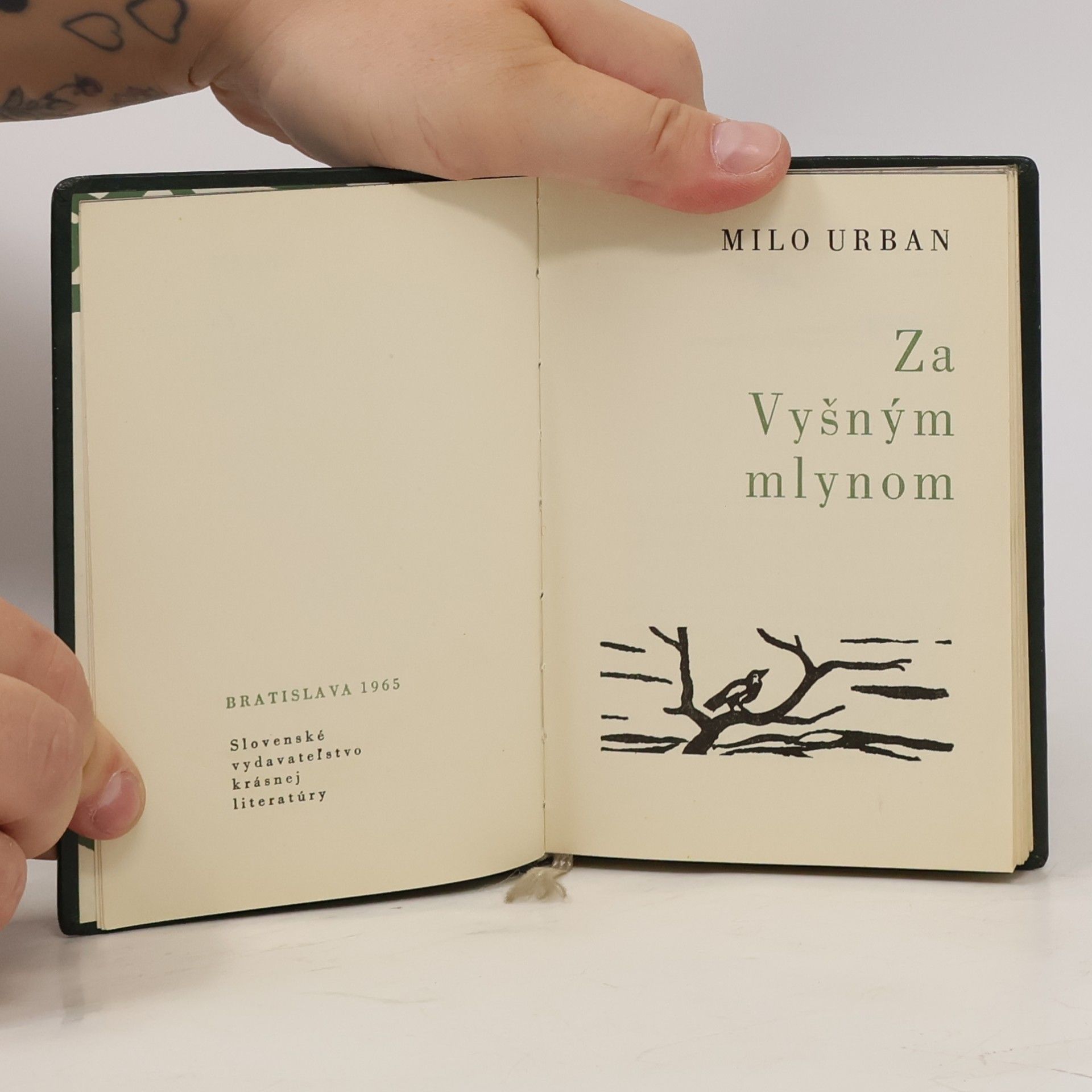 Milo Urban Za Vyšným mlynom