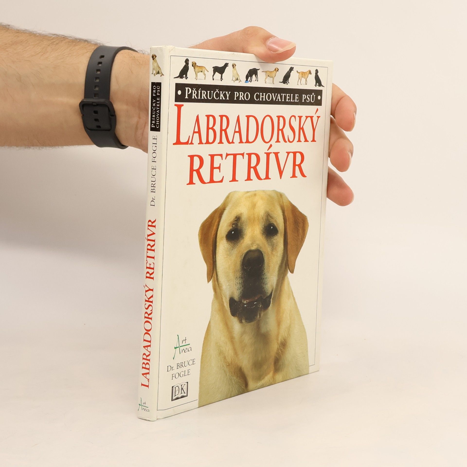 Labradorský retrívr