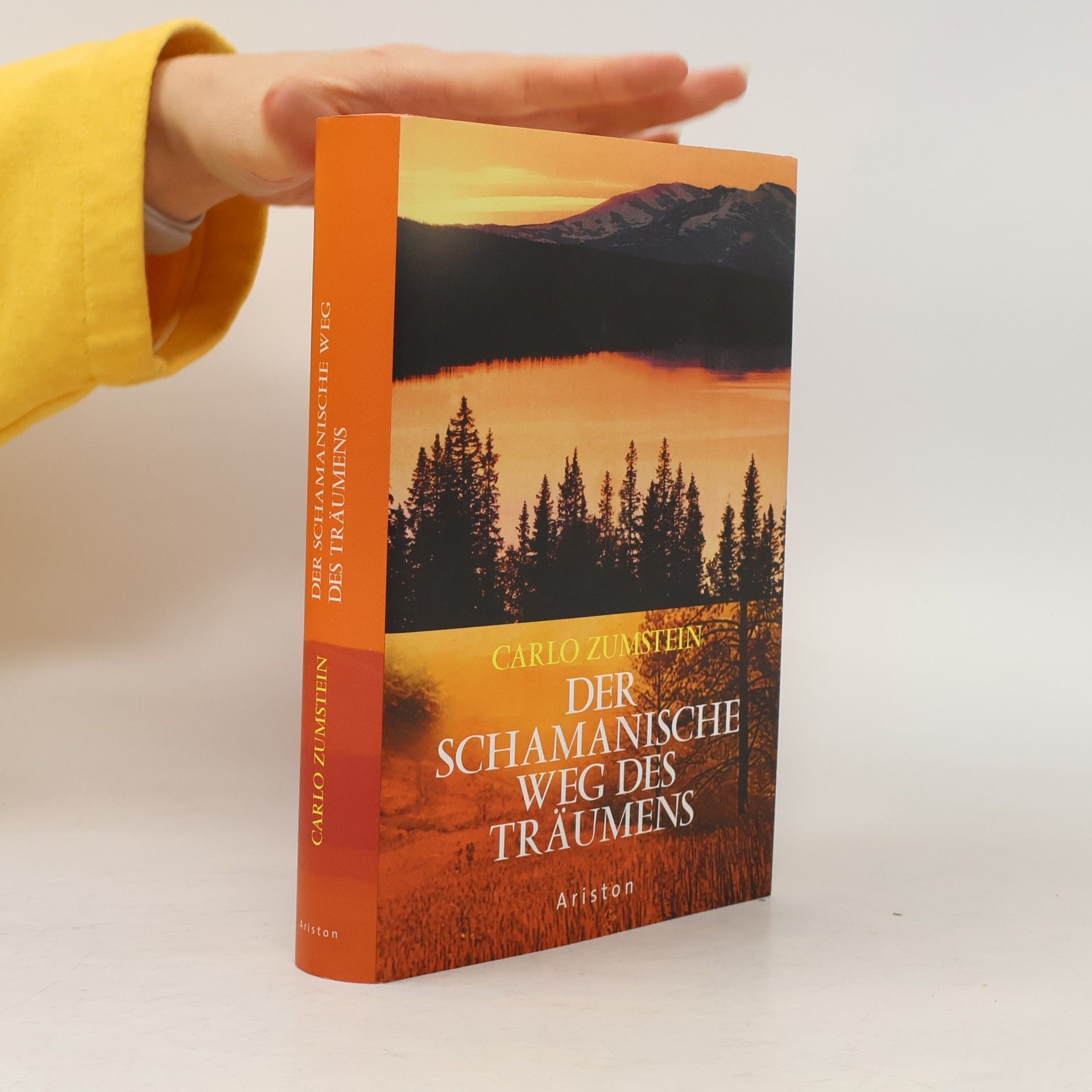 Der schamanische Weg des Träumens
