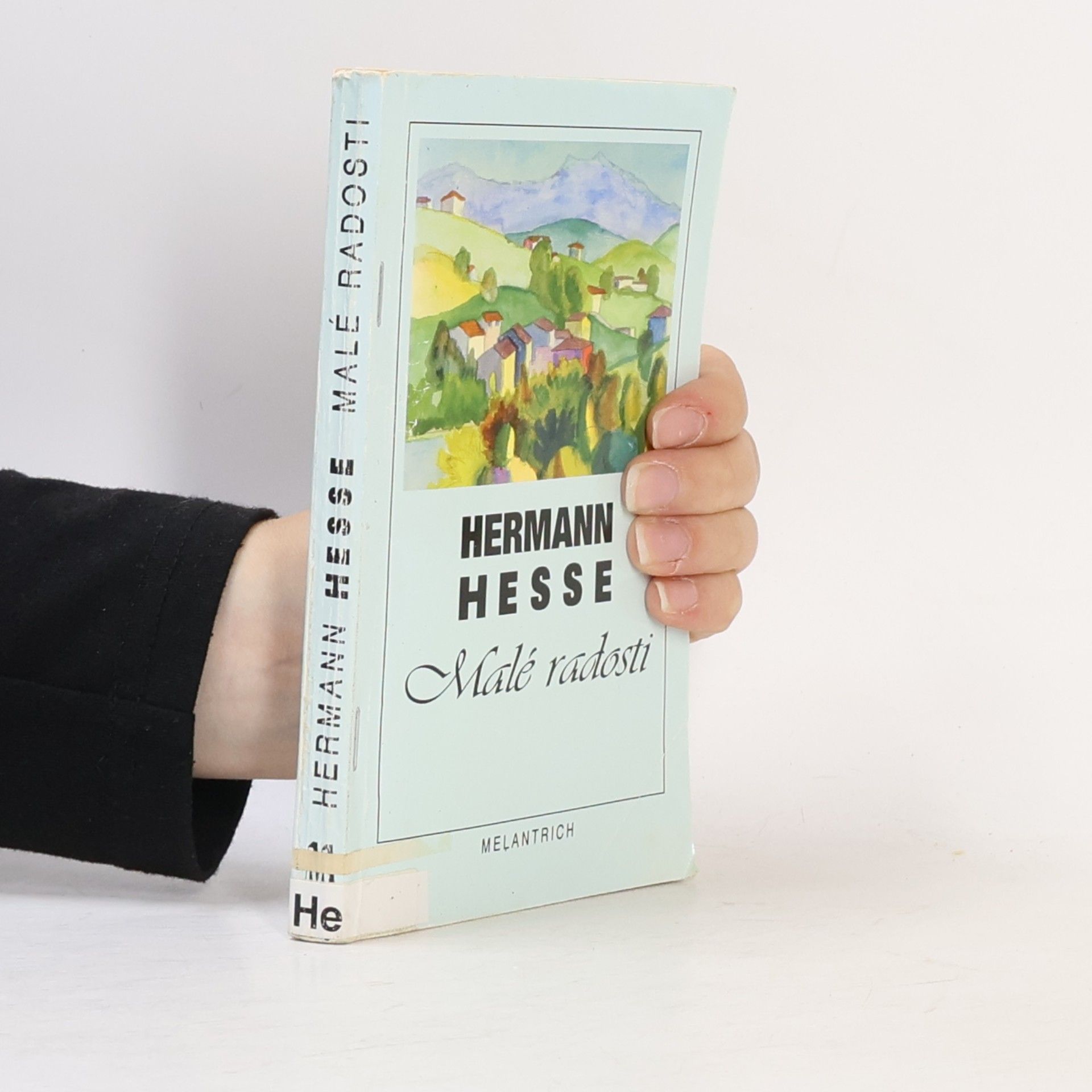 Hermann Hesse Malé radosti