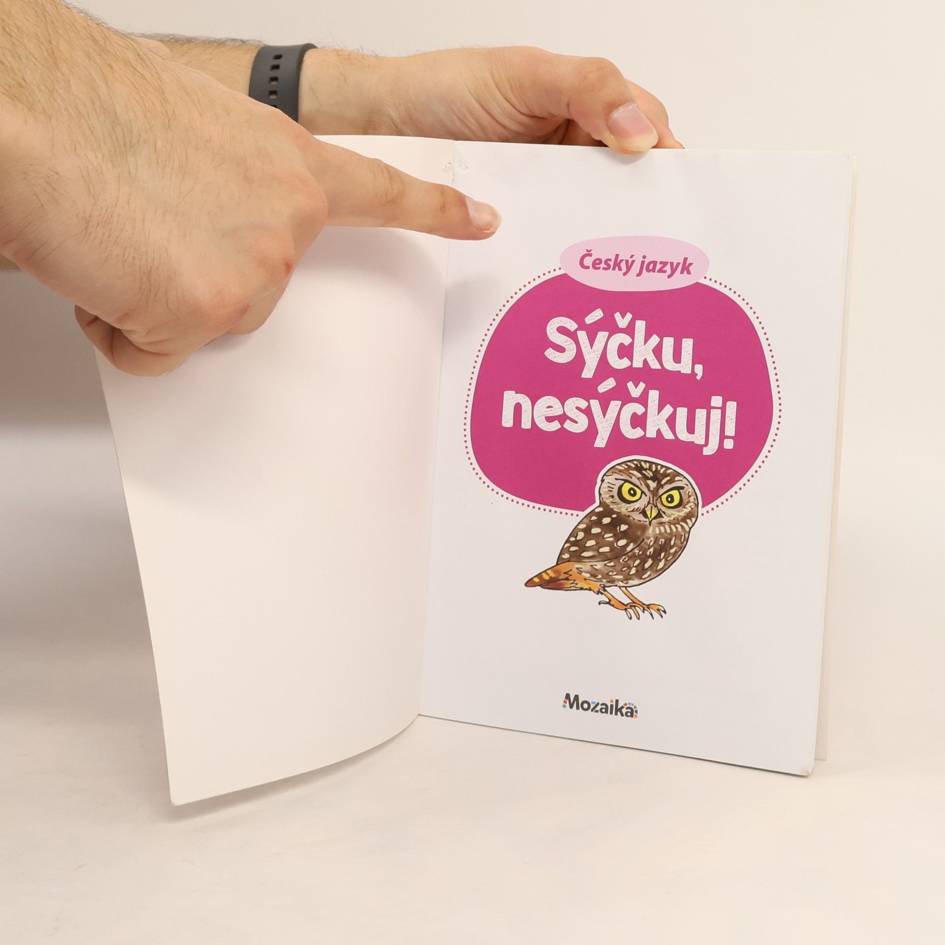 Various authors Český jazyk : sýčku, nesýčkuj!